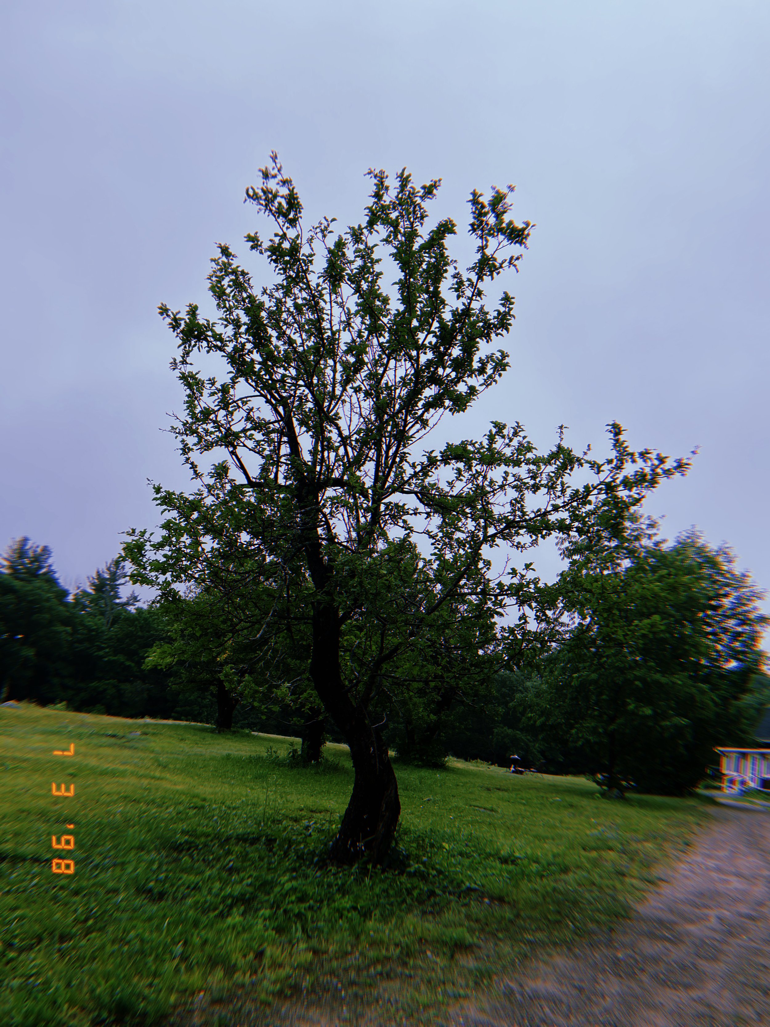 2021-07-03 07:38:00.009.jpg