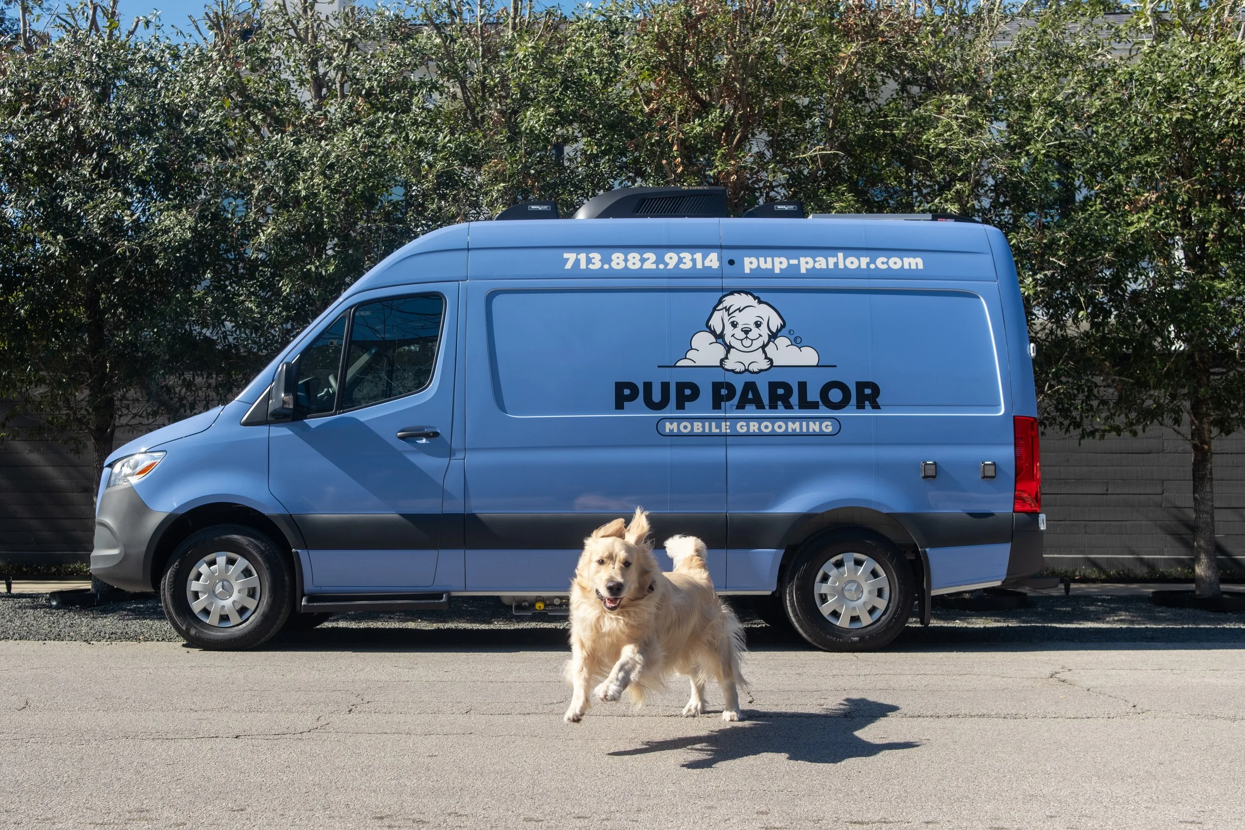 Pup Parlor
