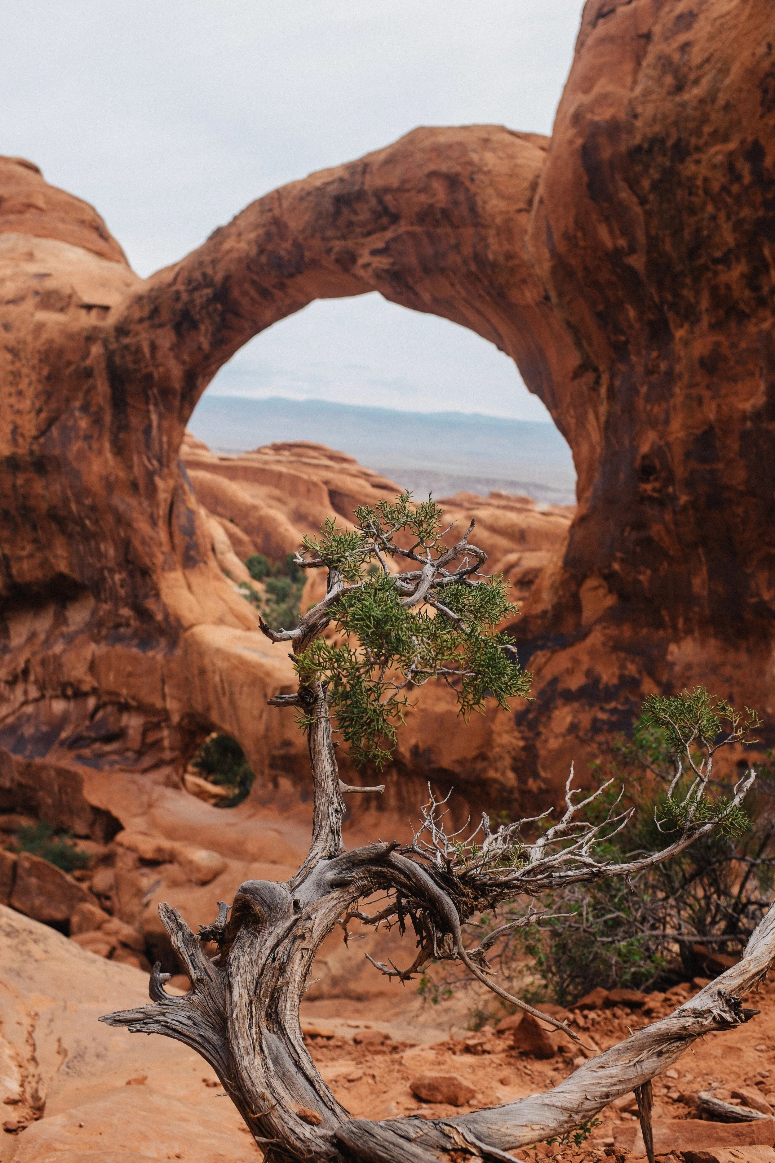 moab 079.jpg