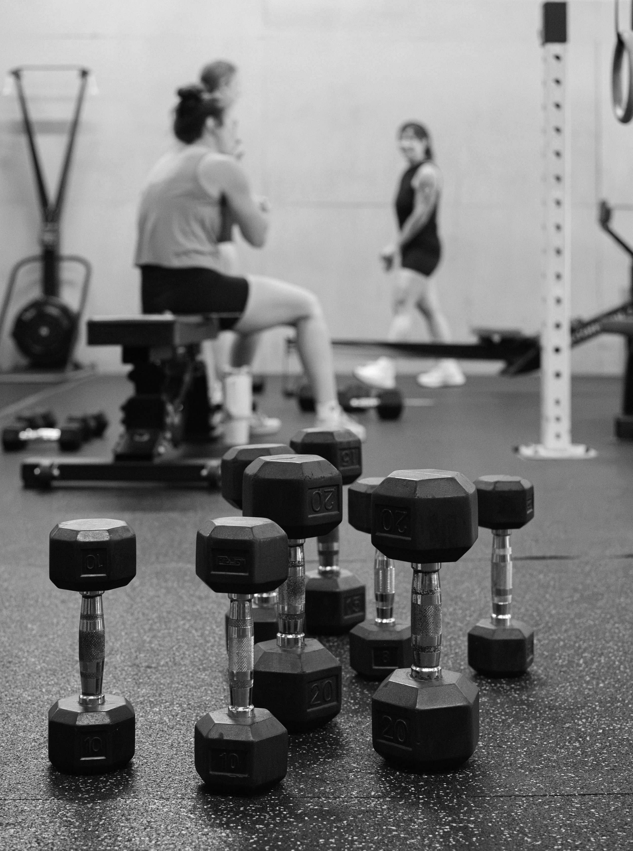  Yellow Rose Fitness 