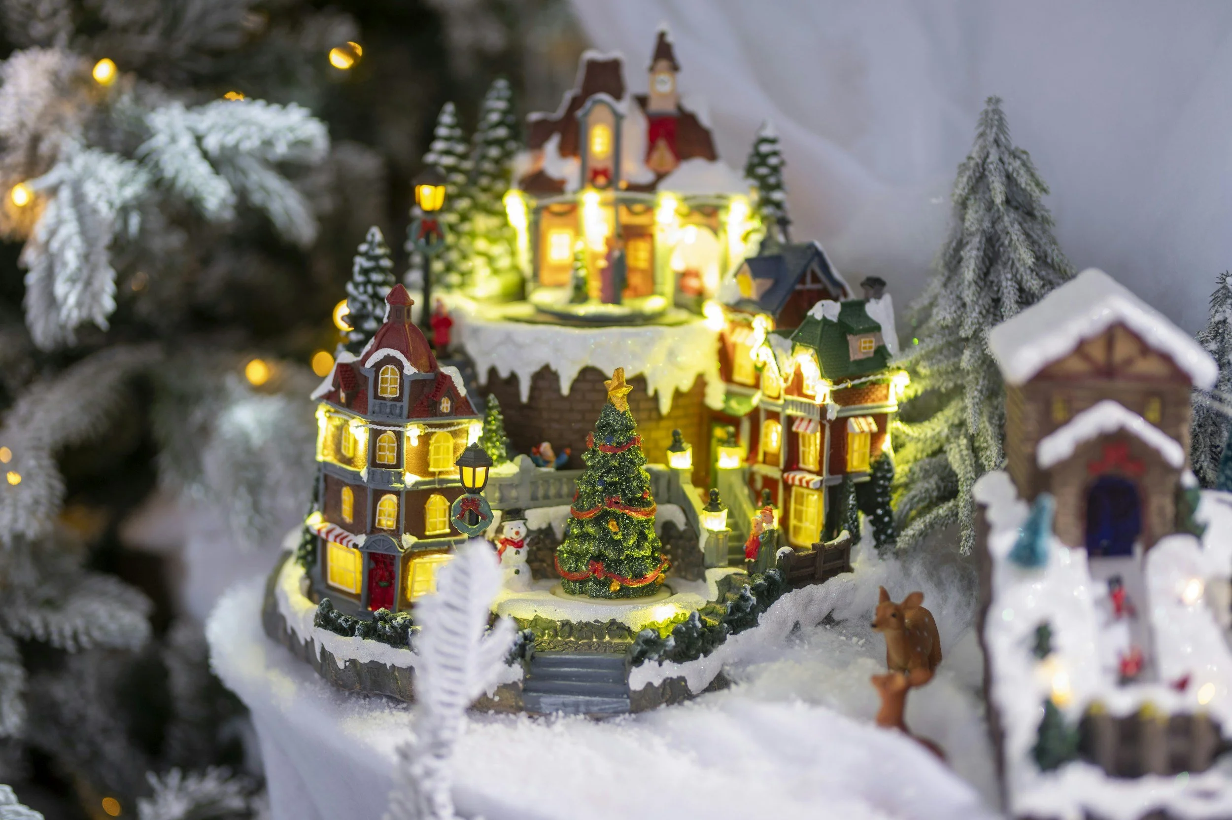 Winter Weather Risks: Cold, Ice &amp; Travel Safety