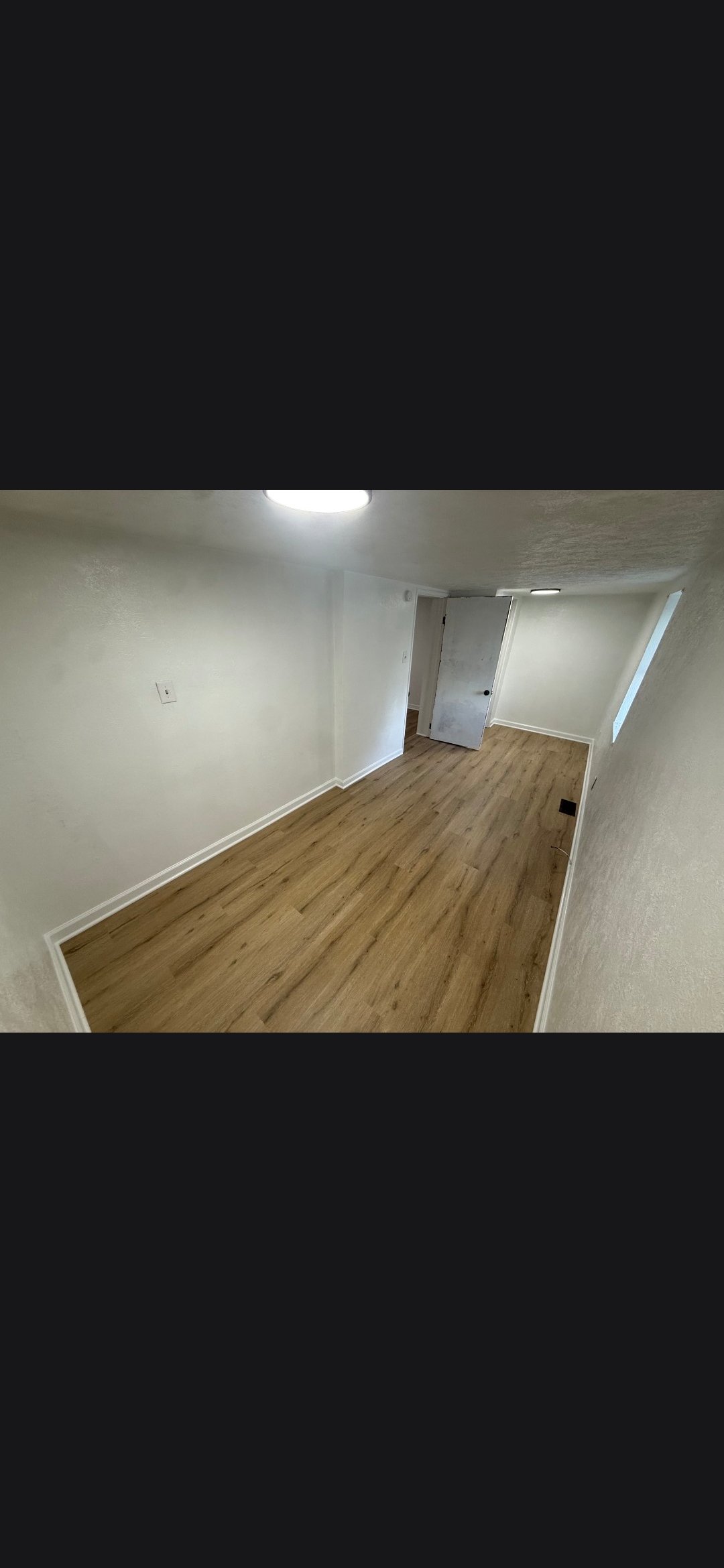 83123.jpg