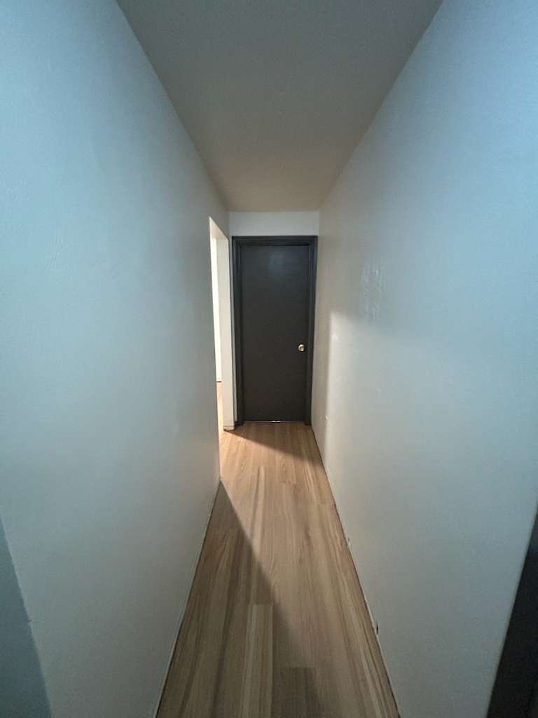 PHOTO-2026-01-19-17-52-21 2.jpg