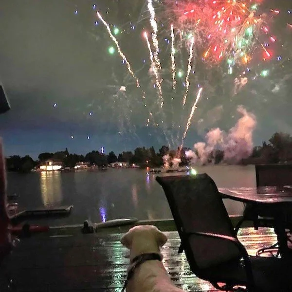 Dog Fireworks square.JPG