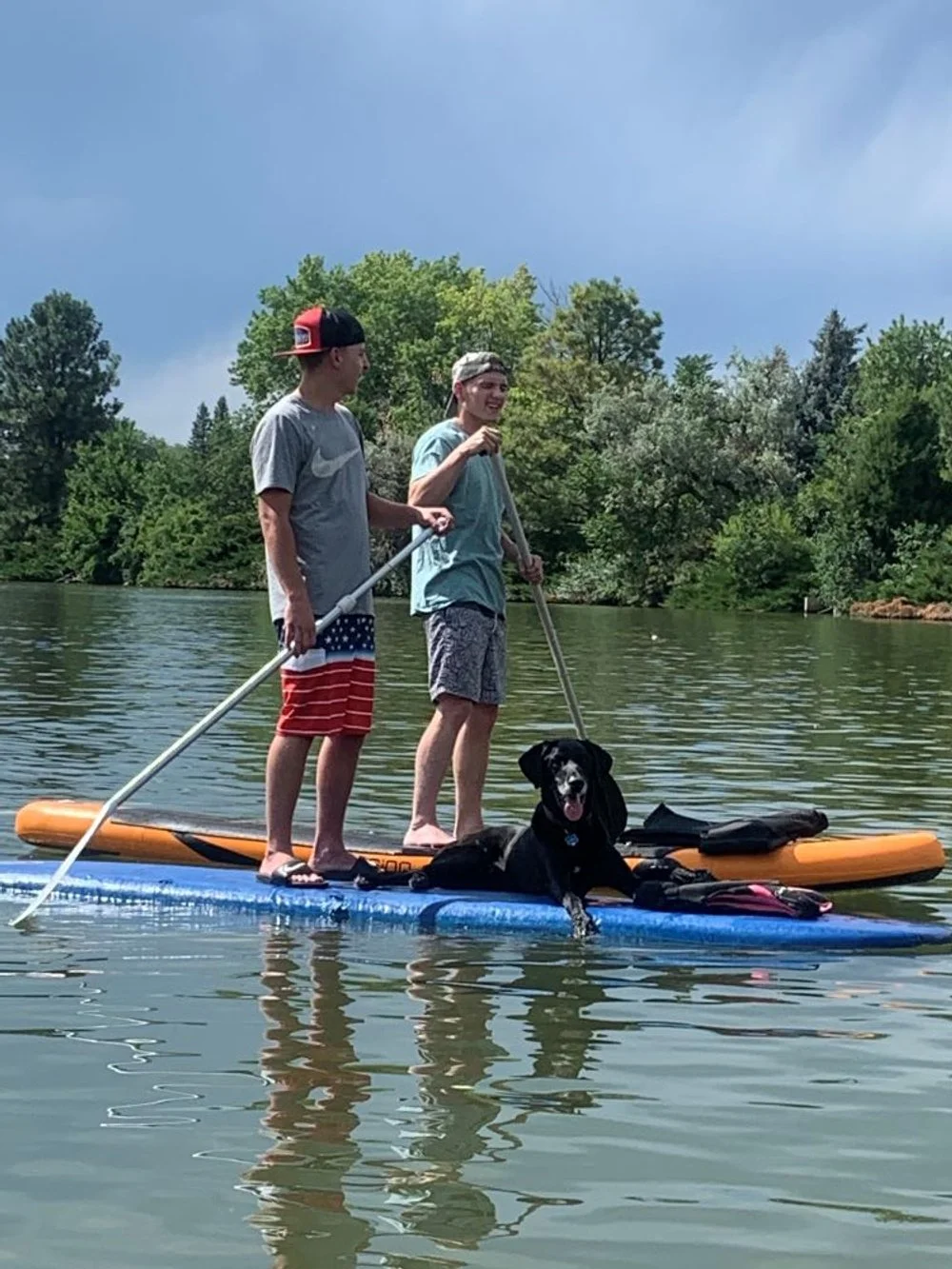 Board and Dog small.jpg