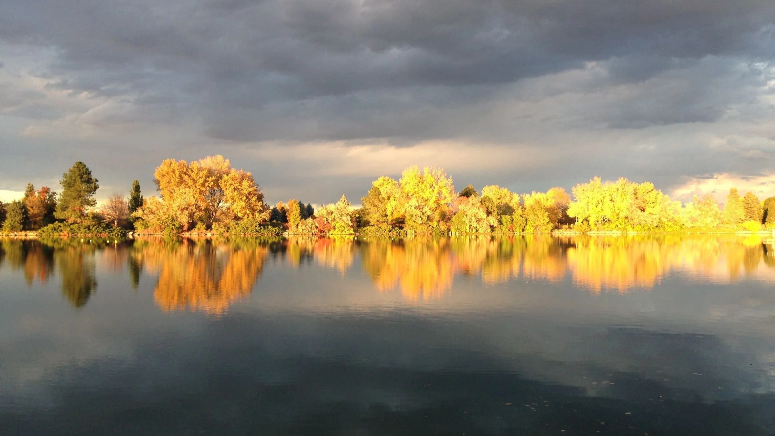 Autumn trees small.jpg