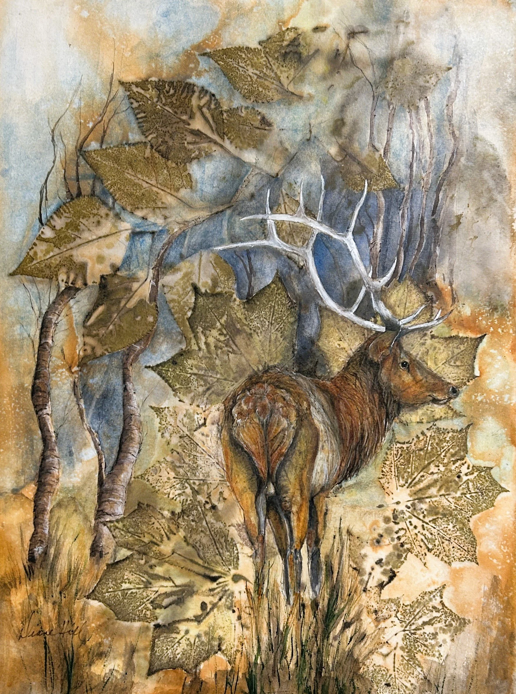 bull elk new2.jpg