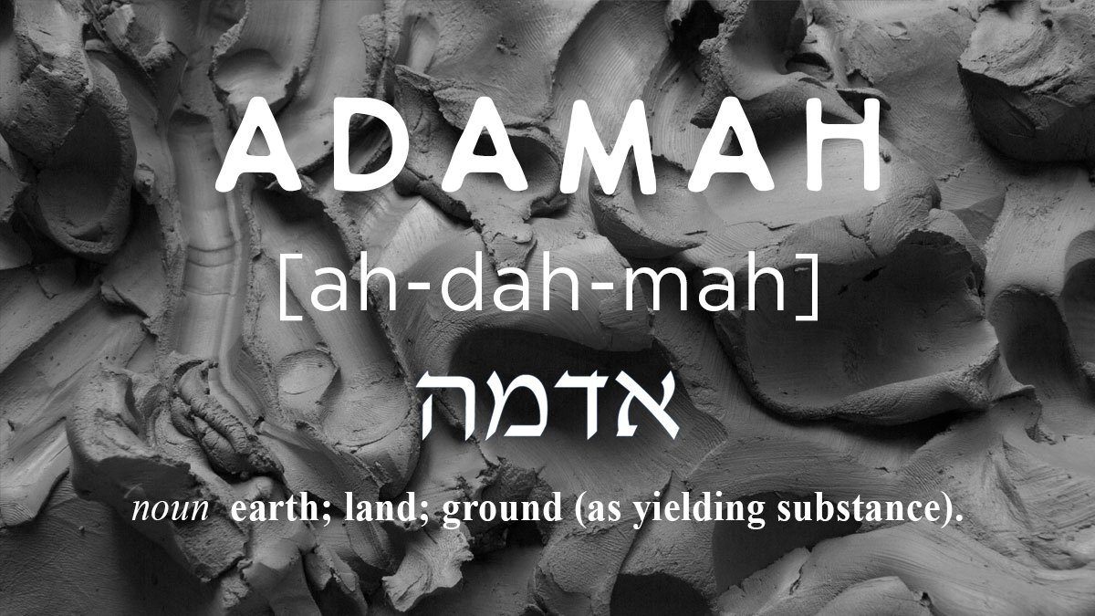 About — ADAMAH CERAMICS