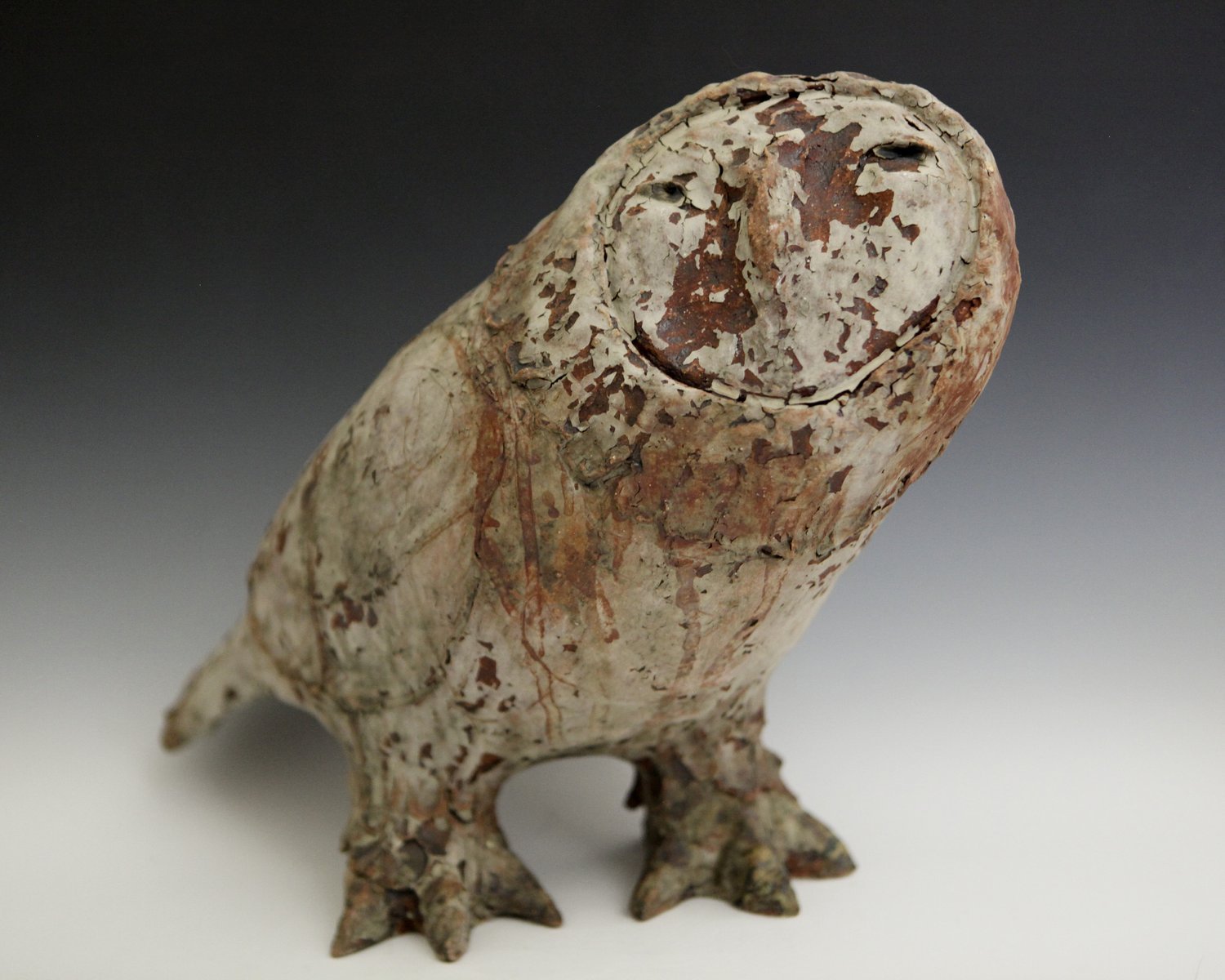 Christopher St. John | Owl