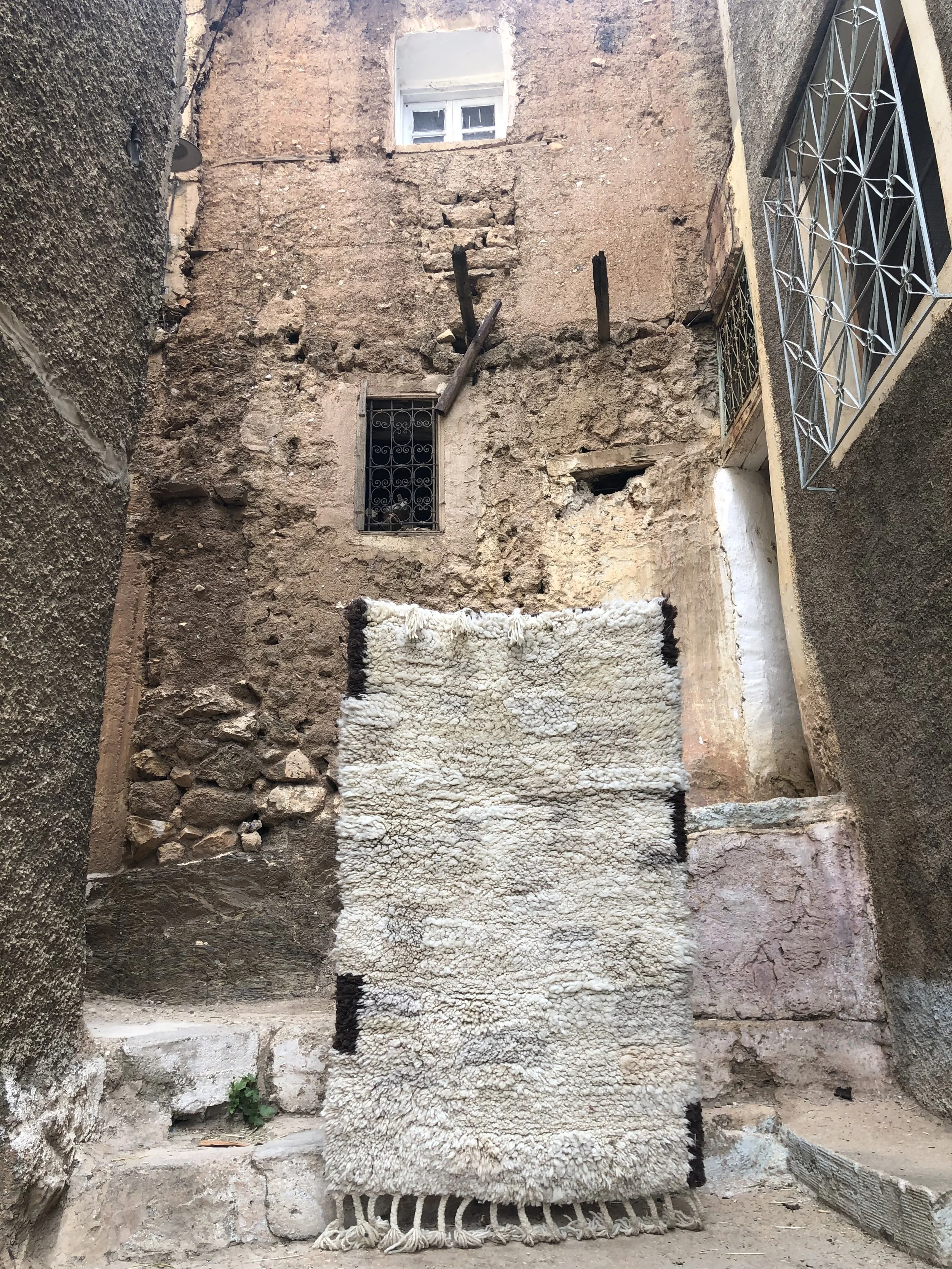 Photo Jun 17 2021, 10 38 49 AM.jpg