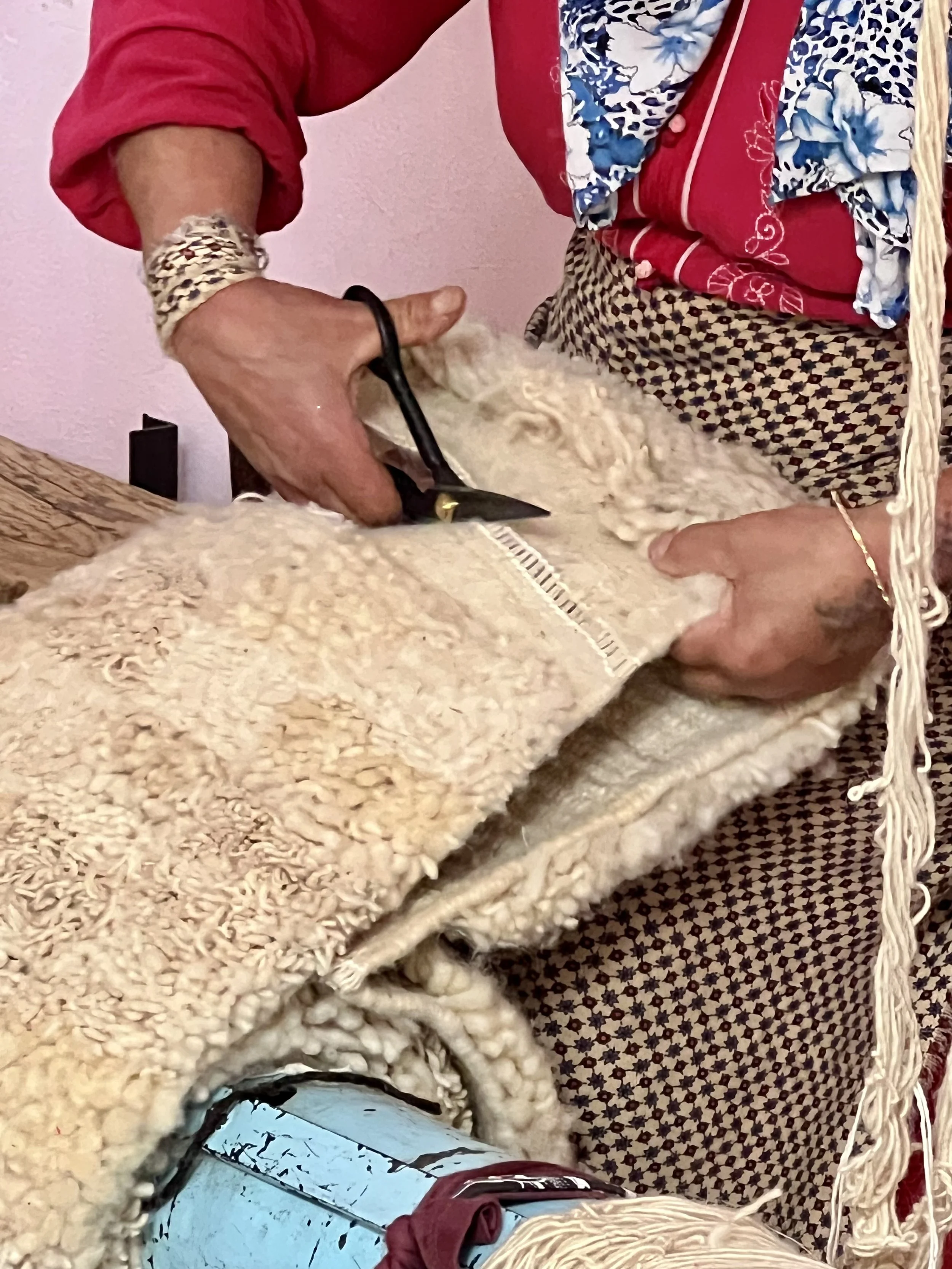 Photo Jun 20 2023, 5 07 31 PM.jpg