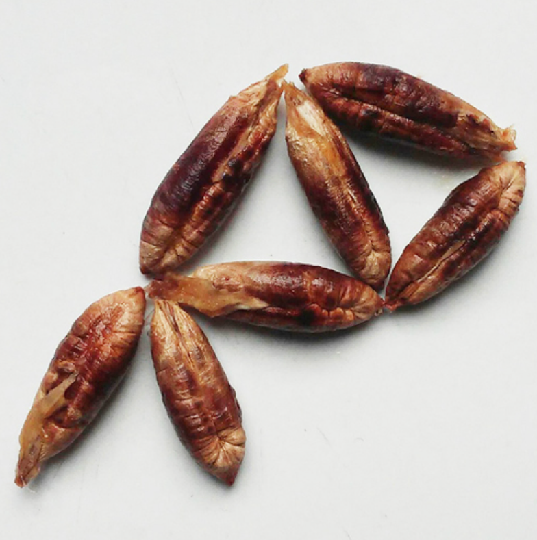 Between the Seen and the Felt: Nedim Kufi’s Visual Language