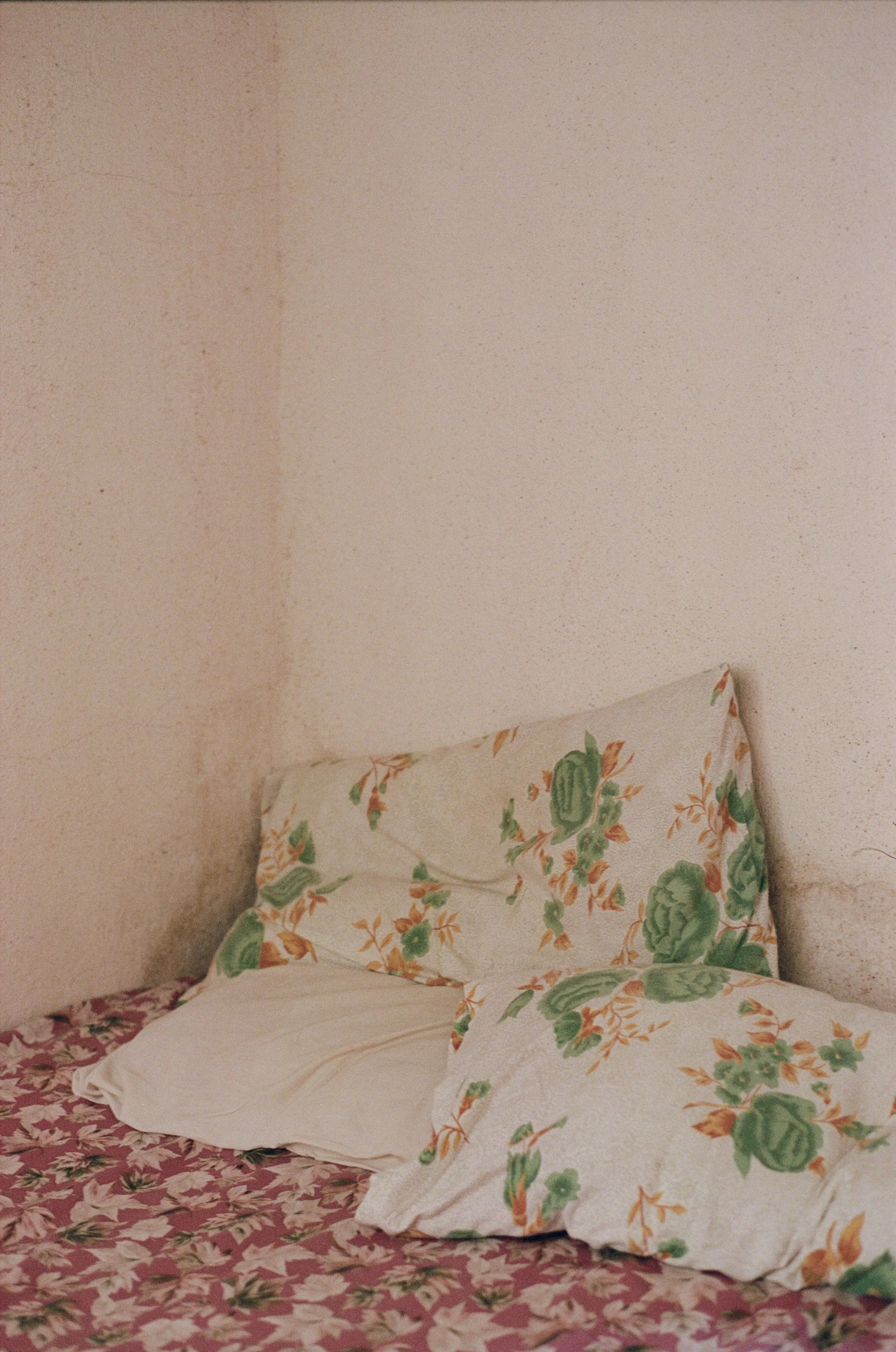 Tsawwar… Najla Said