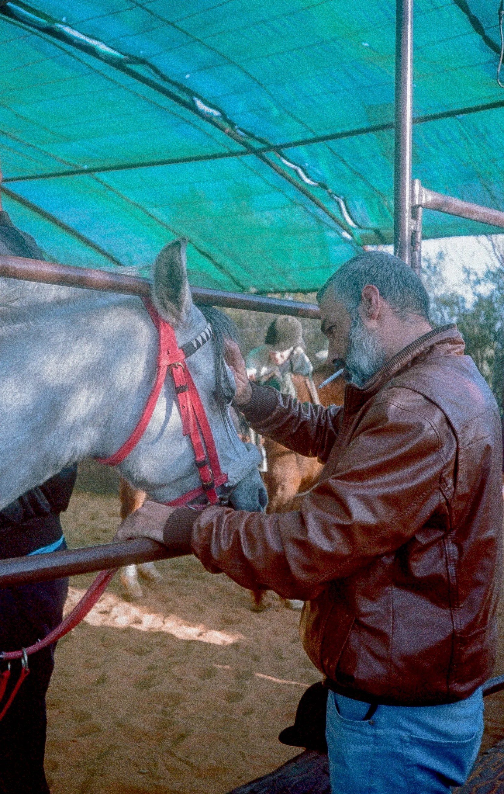 Tsawwar… Hannah Arafeh 