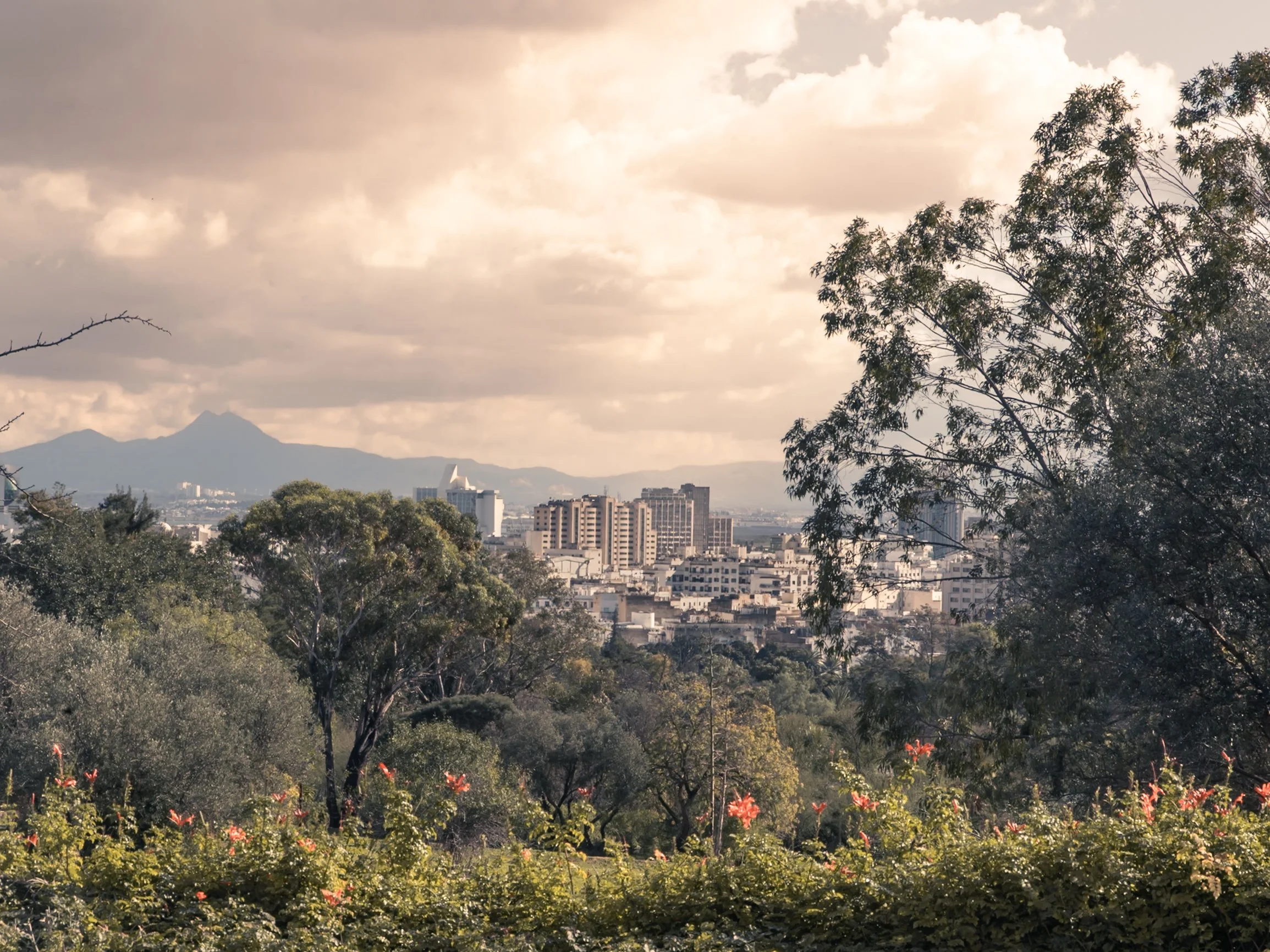 Tsawwar… Skander Khlif 