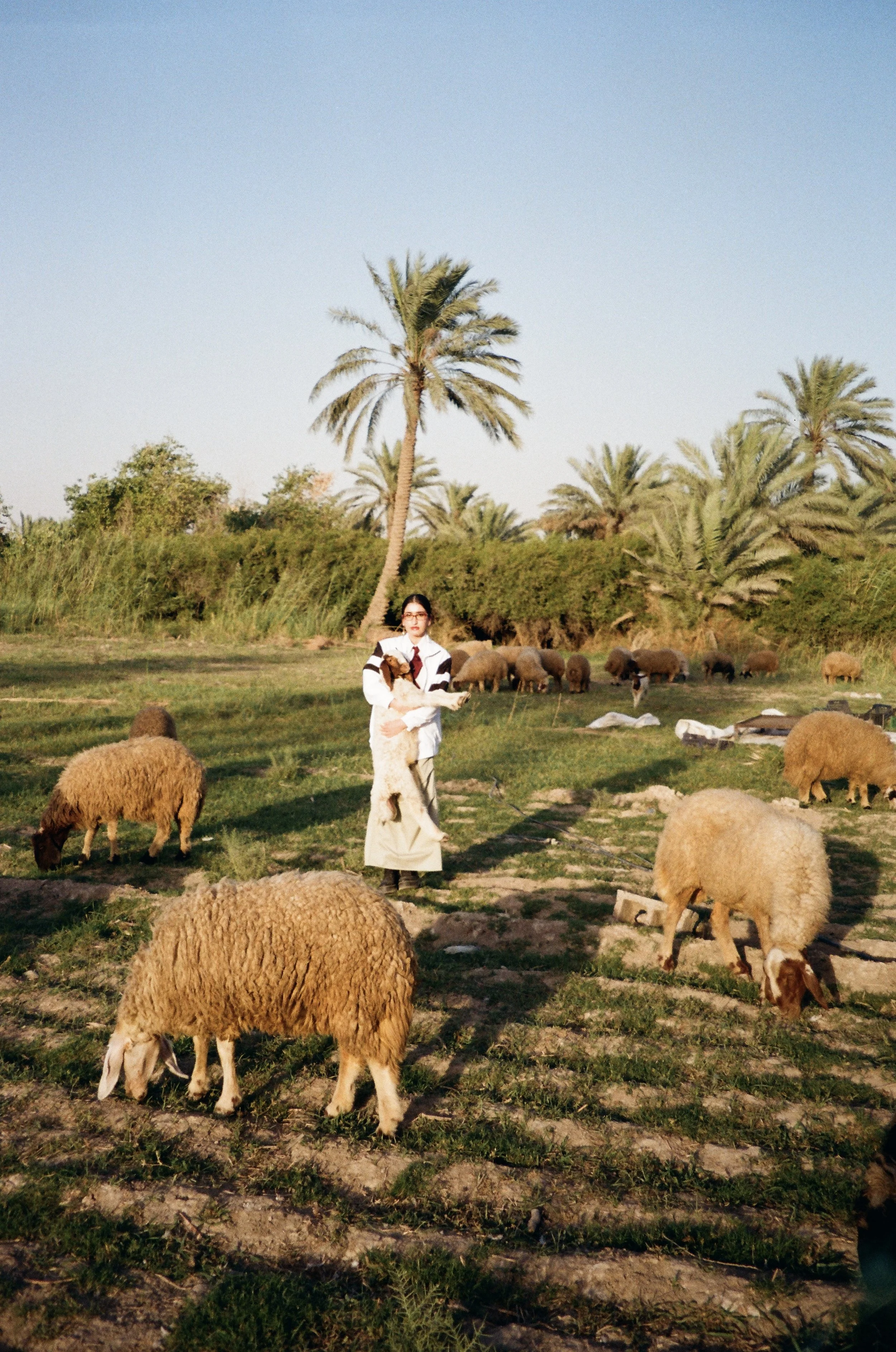 Tsawwar… Ali Skok