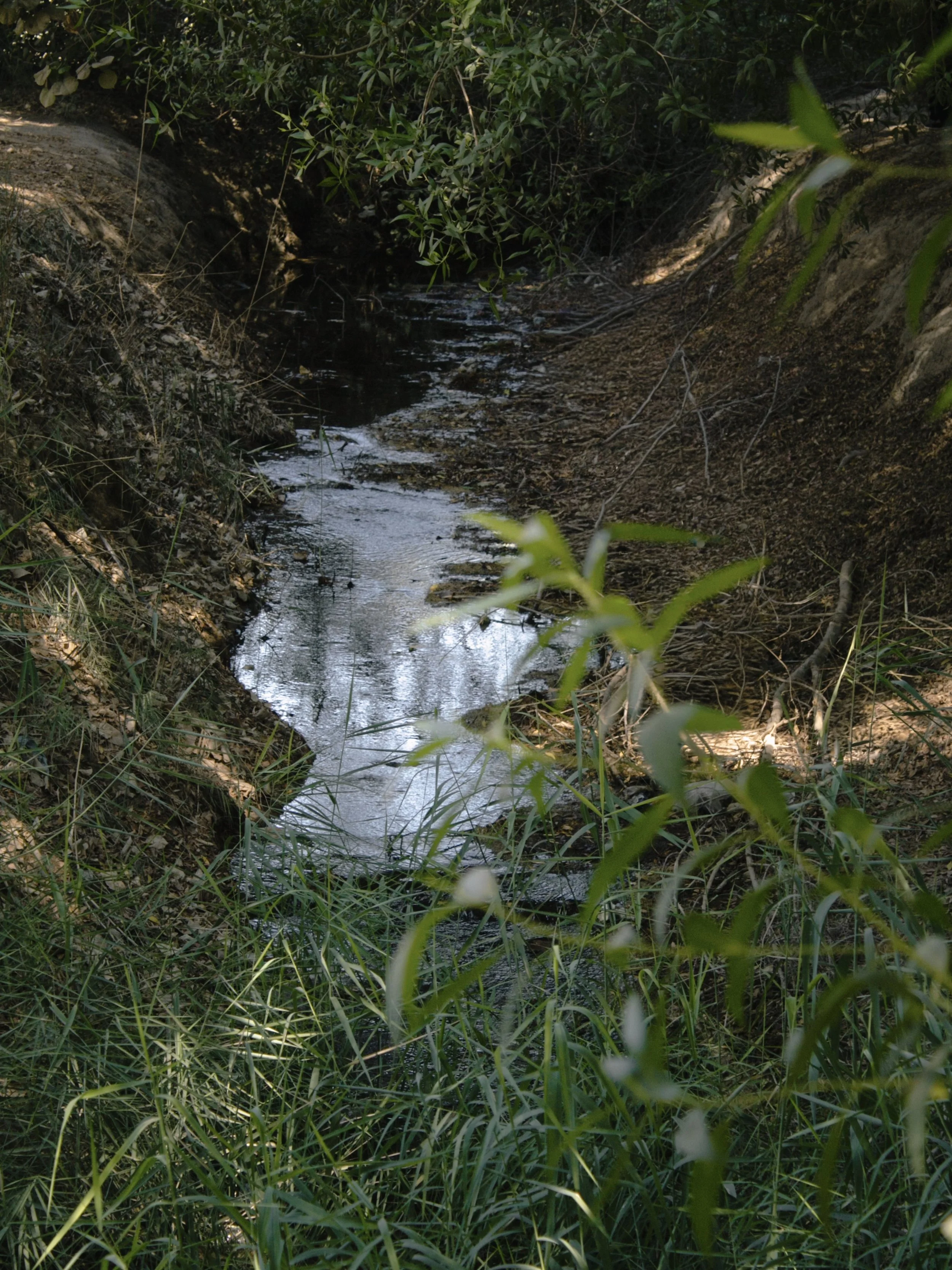 10_Water_Channel.JPG