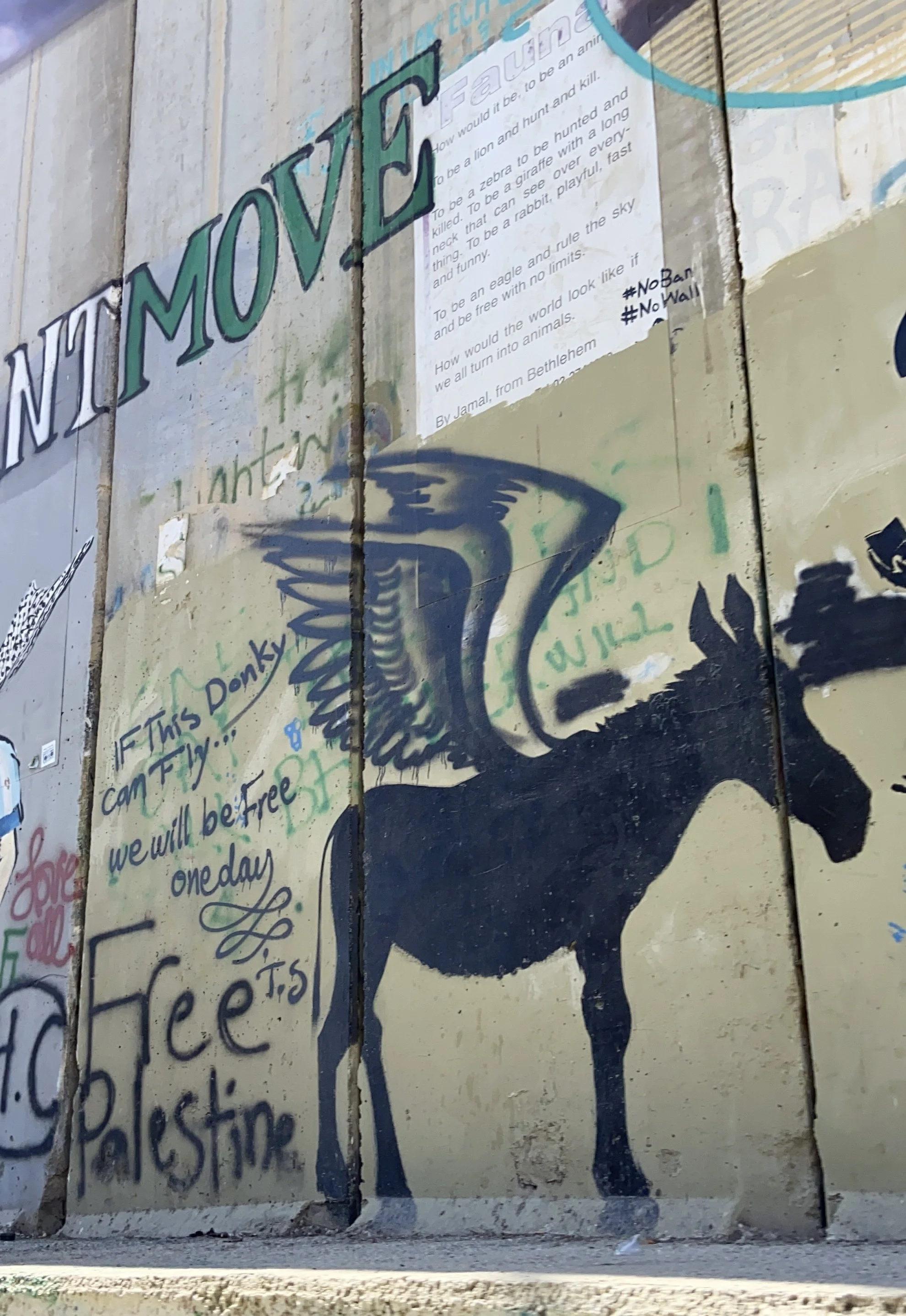 Marking Resistance on the Walls of the West Bank