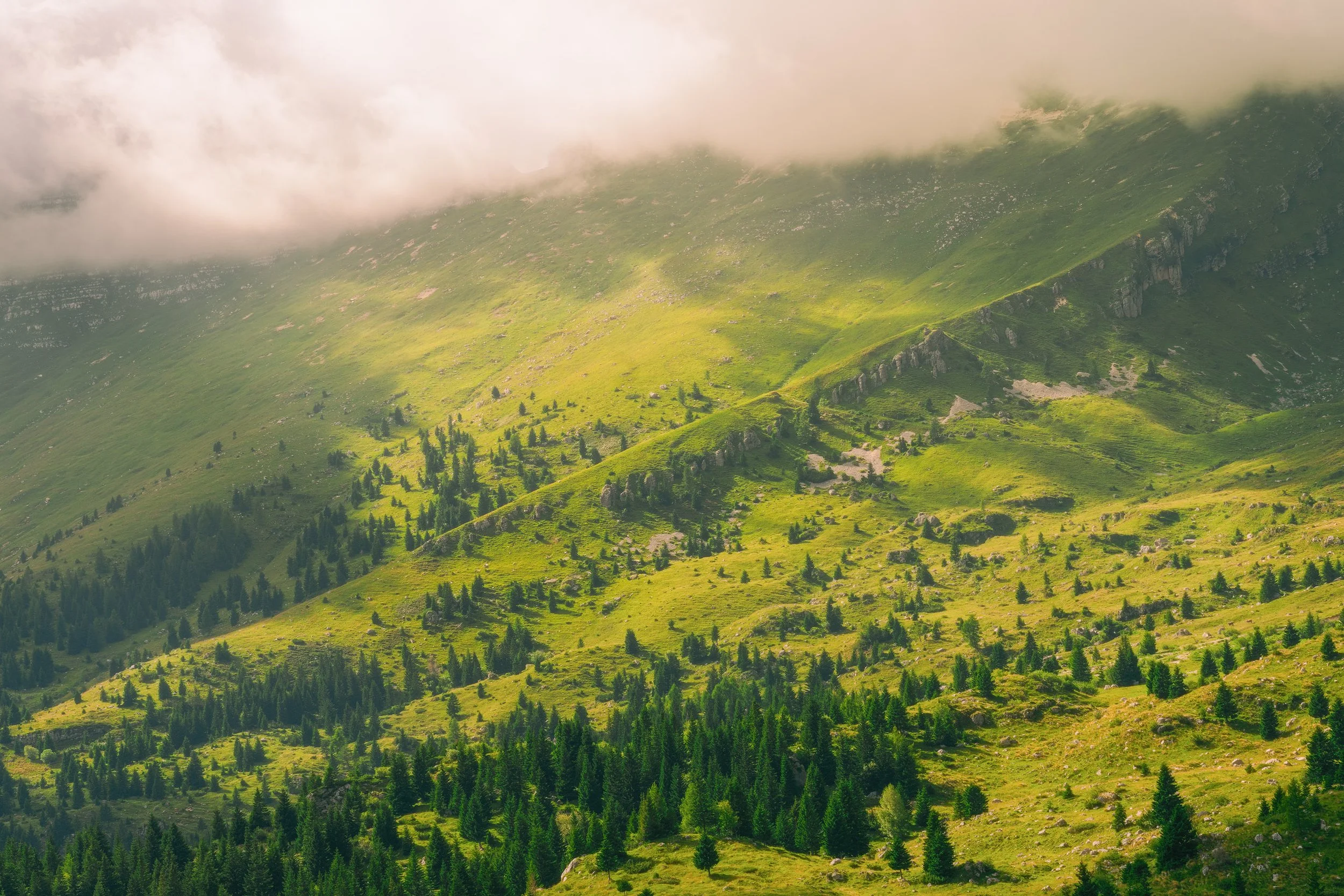 Squarespacemontasio rielab nov 2025srgb.jpg