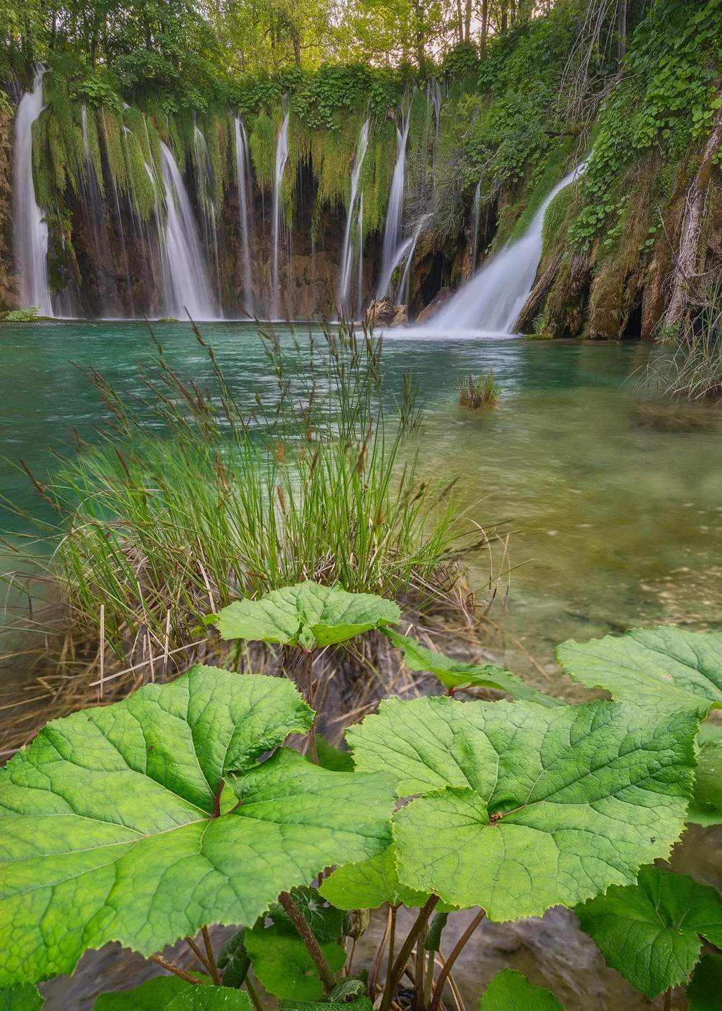 Squarespace2025 focus staking plitvice copiasrgb.jpg