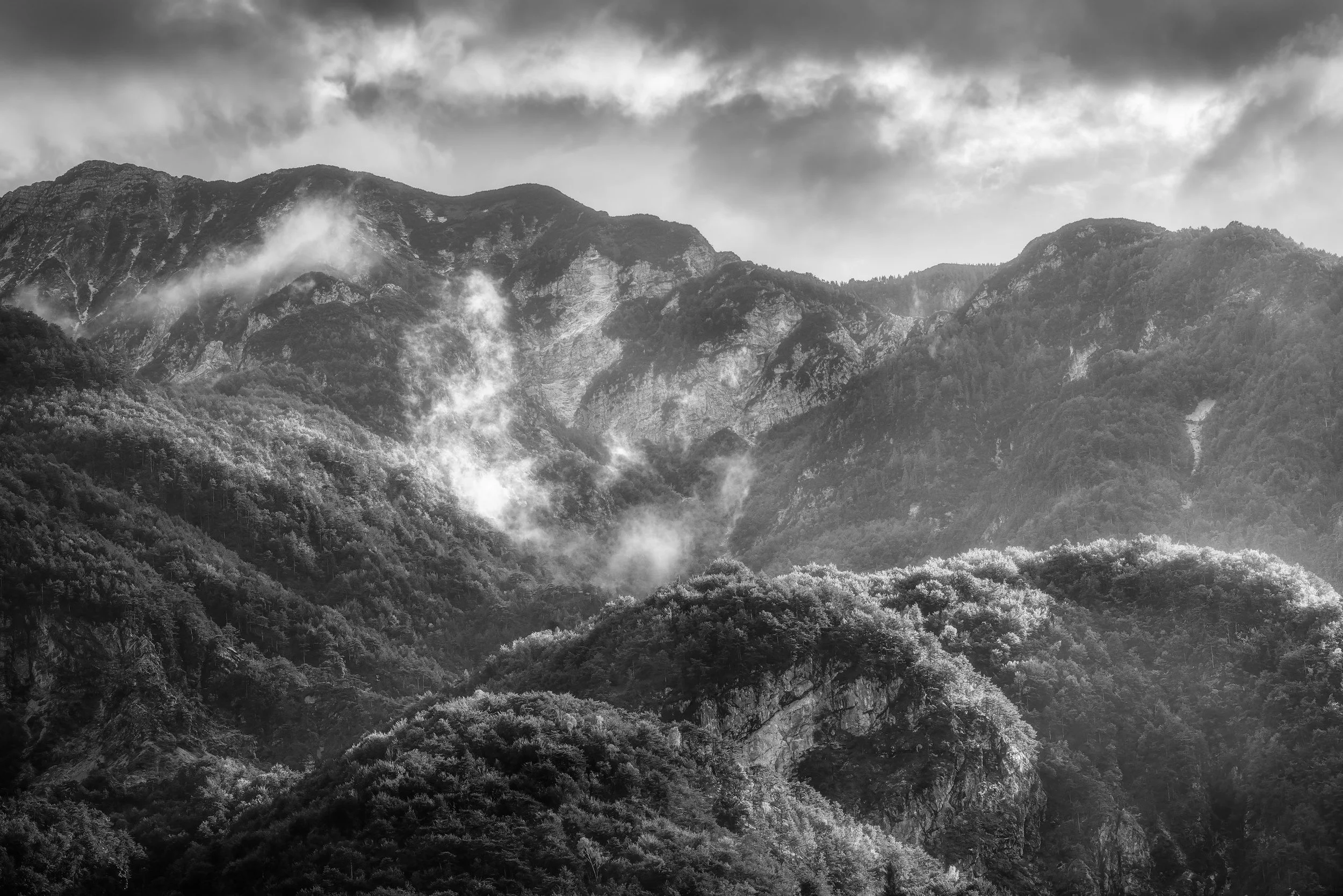 Squarespacemoggio udinese bianco e nerosrgb.jpg