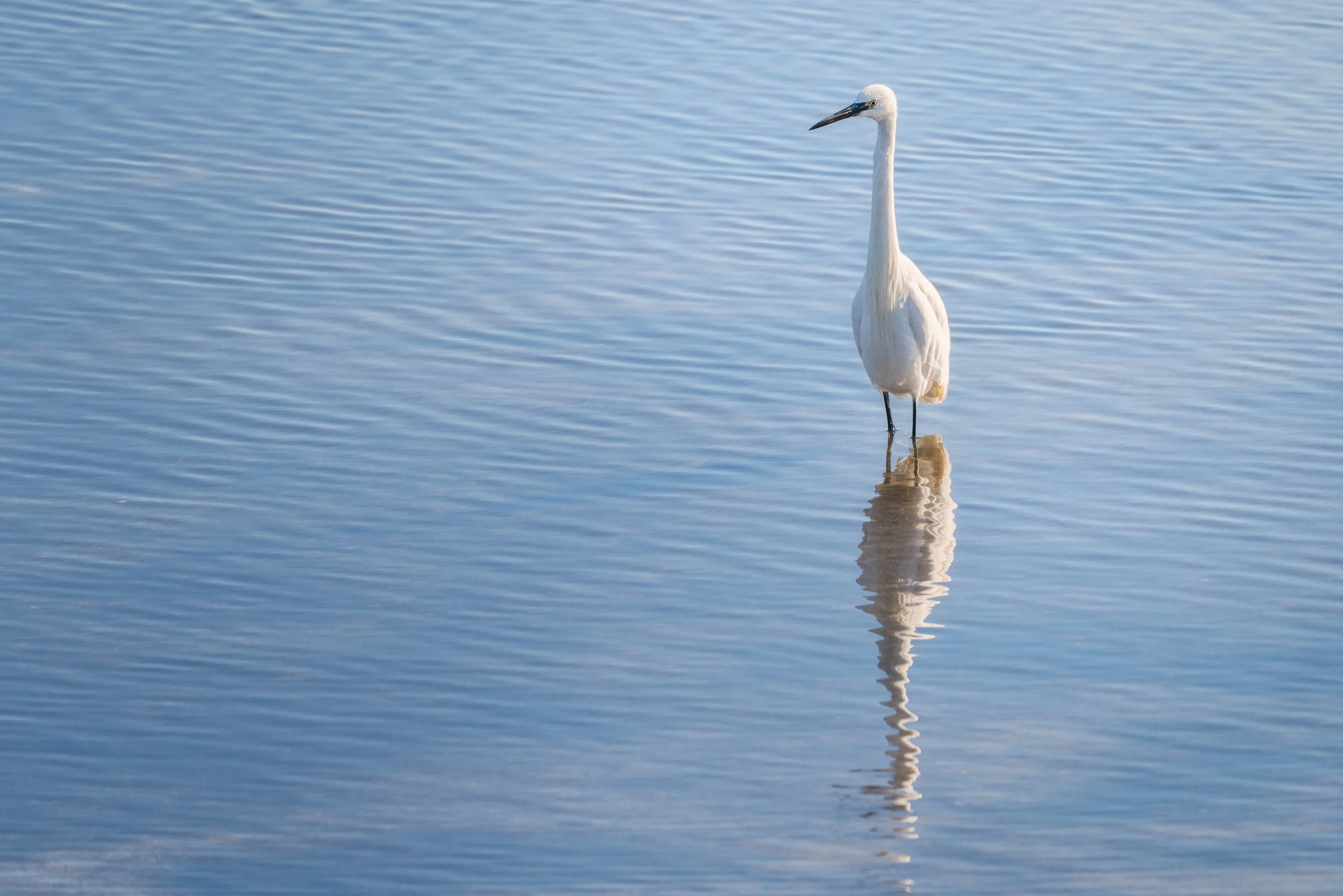 Squarespace2025 Val Cavanata novembre 2025-4srgb.jpg