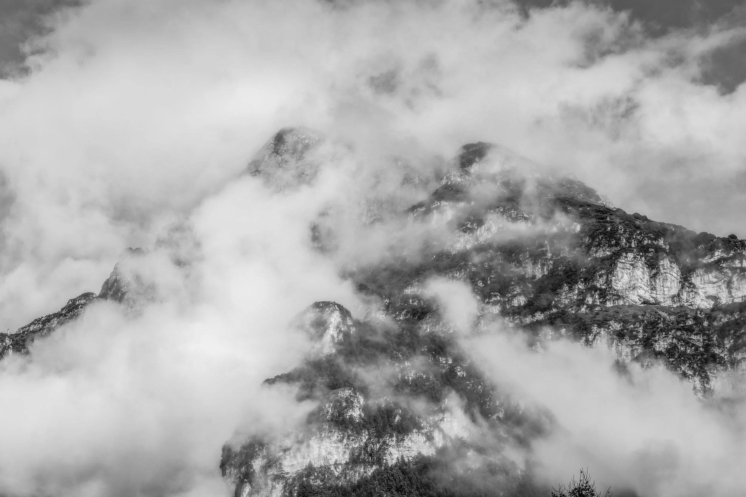 Squarespacemoggio udinese bianco e nero 2srgb.jpg