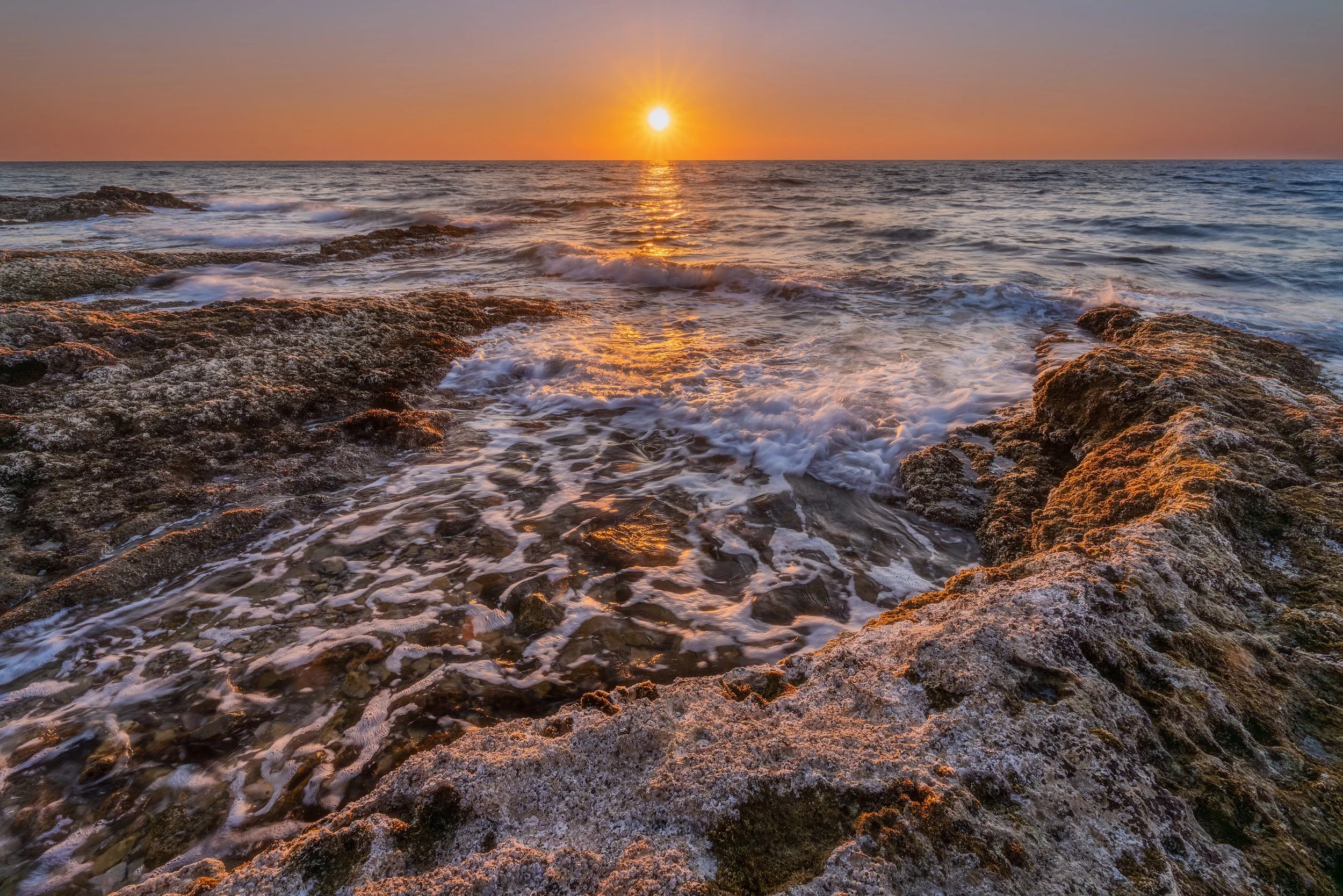 Squarespace2025 rielab Salvoresrgb.jpg