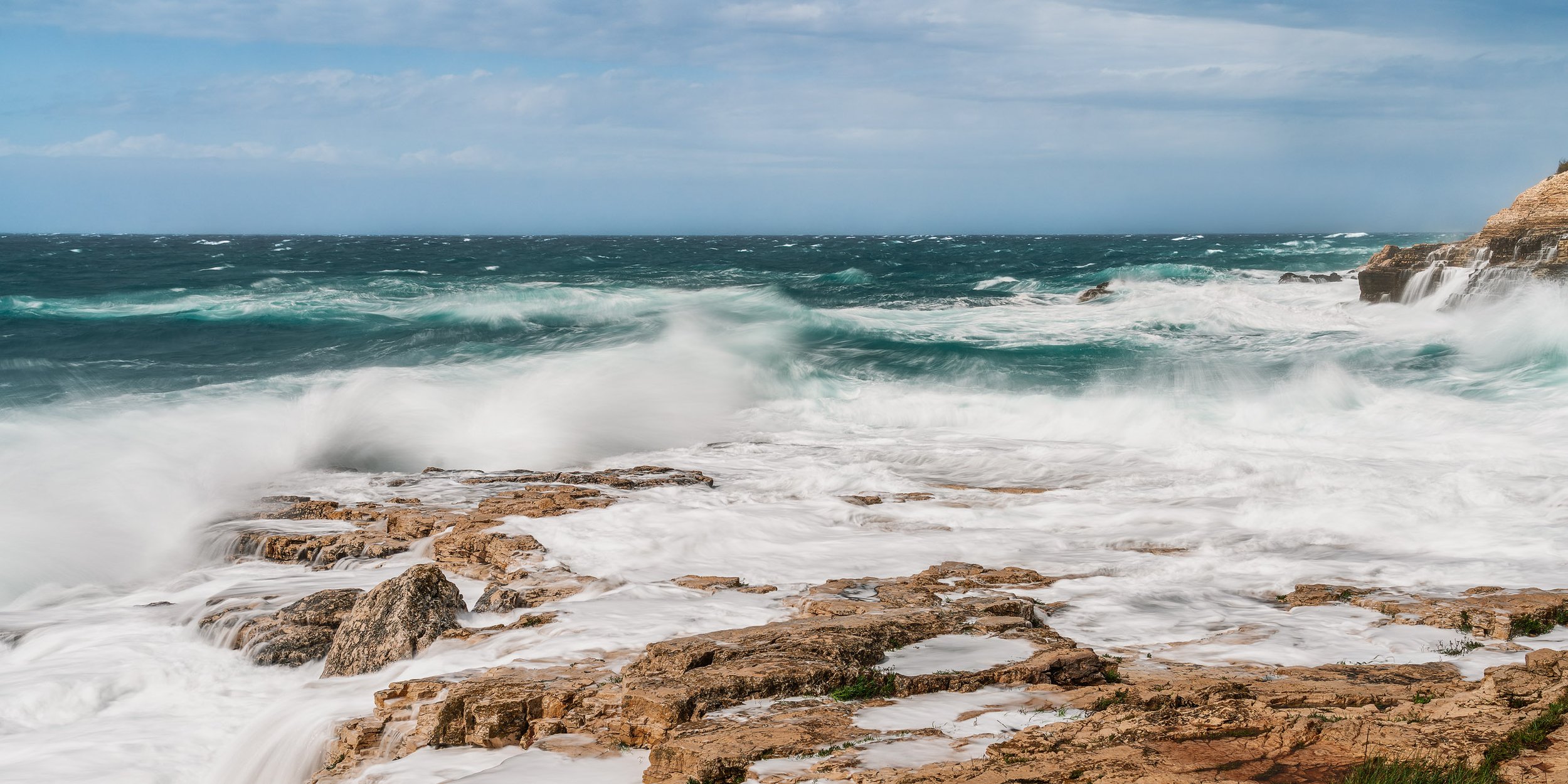 Squarespace2025 Pola rielab novembre 2025srgb.jpg