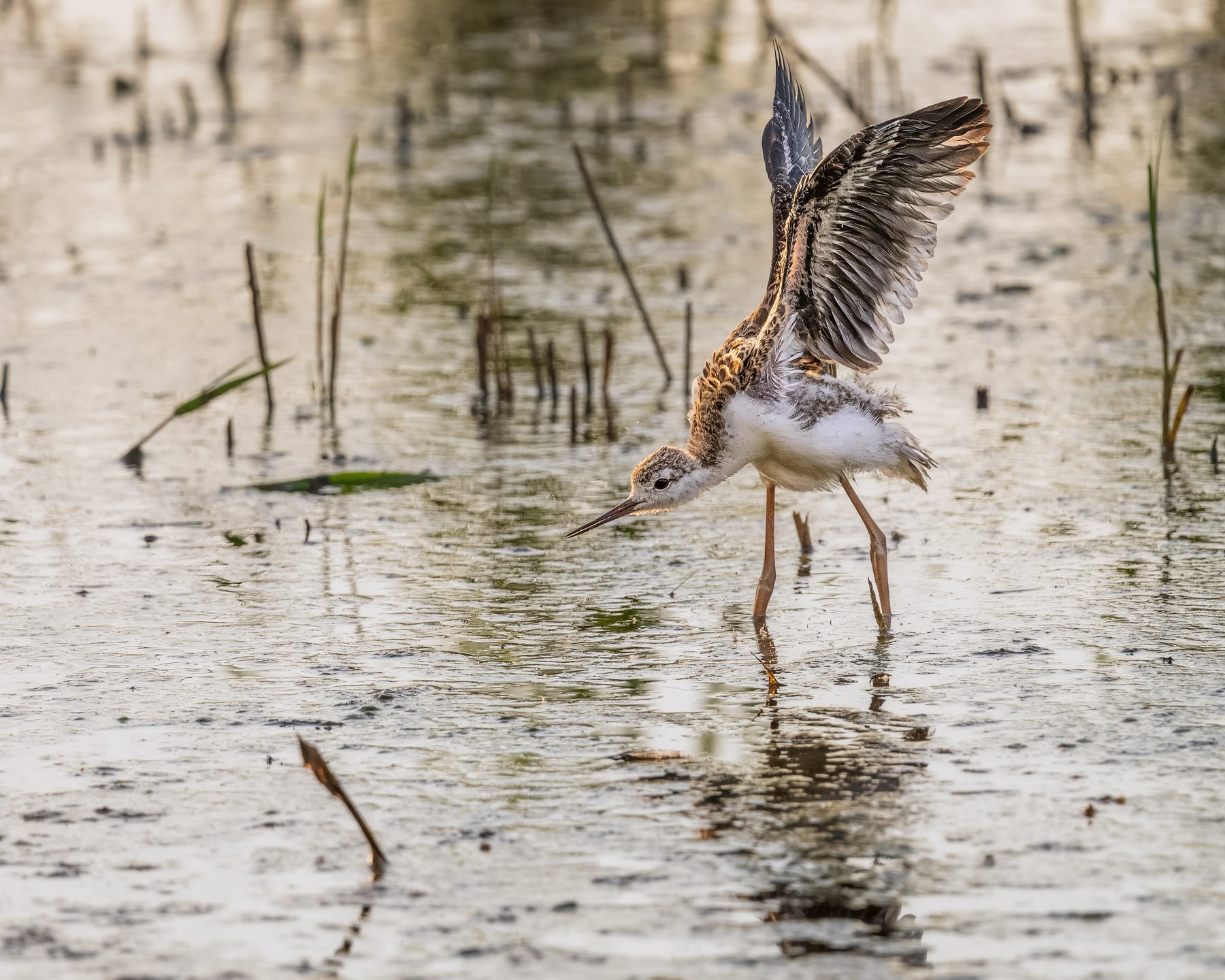 Squarespace2025 Val stagnon elab novembre1-4srgb.jpg