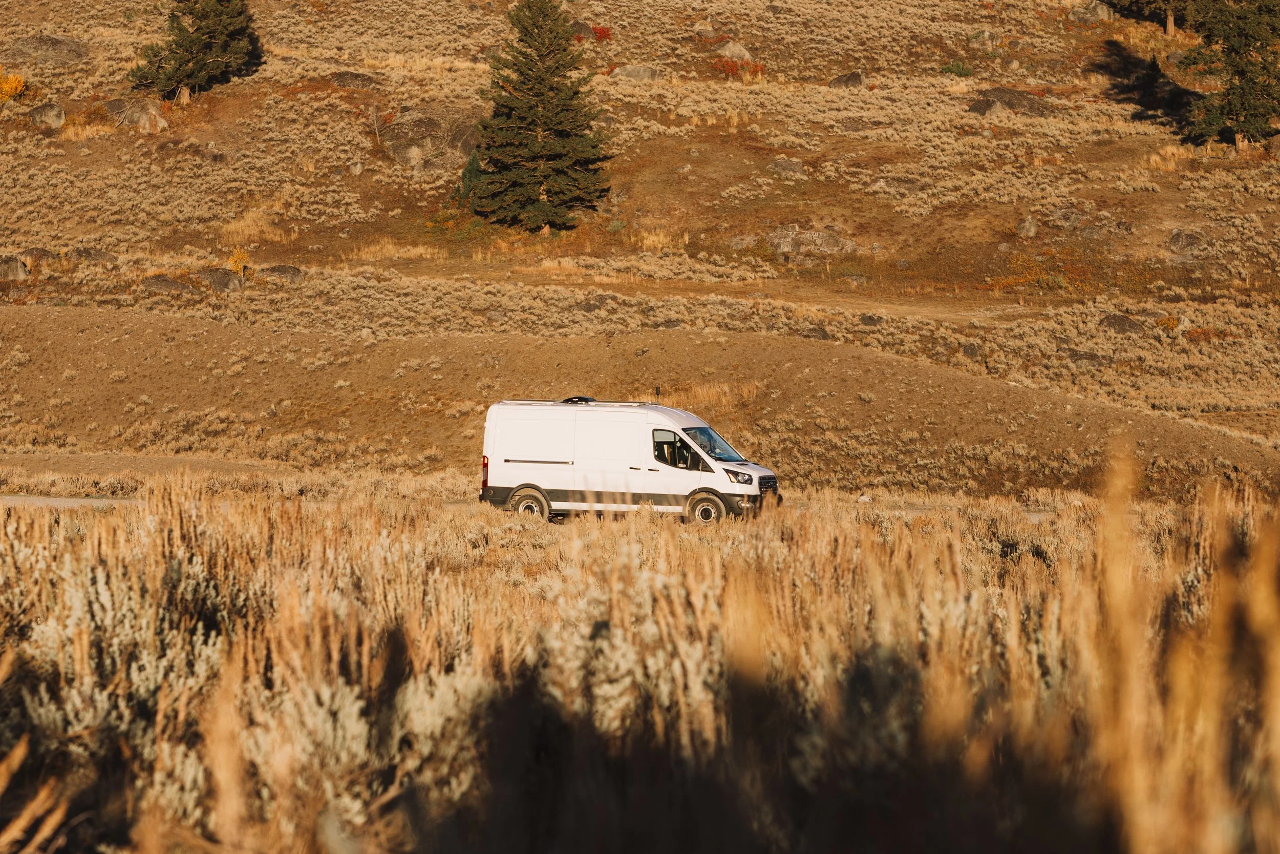 Finding the Perfect Van