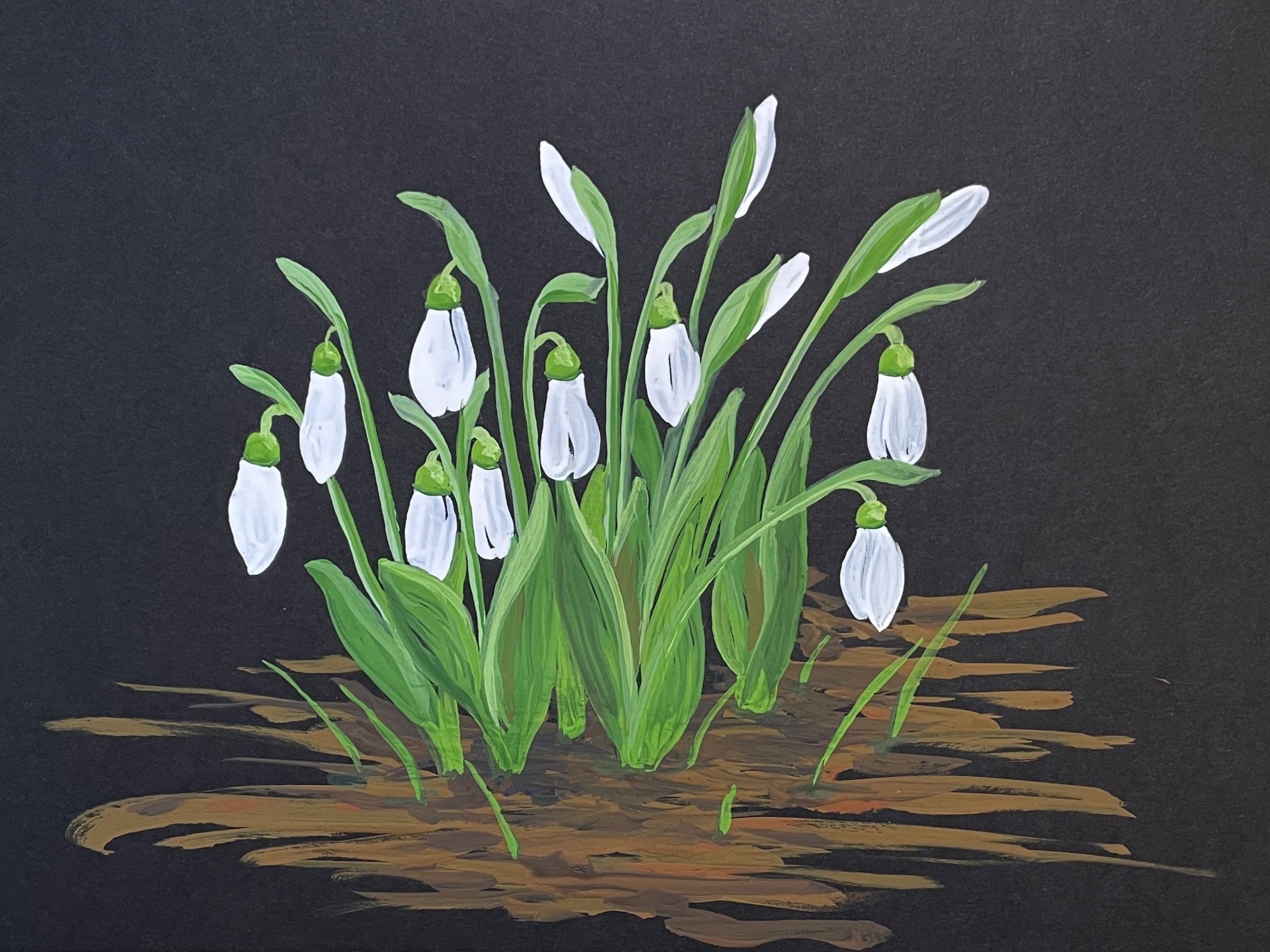 Gouache painting of snowdrops.