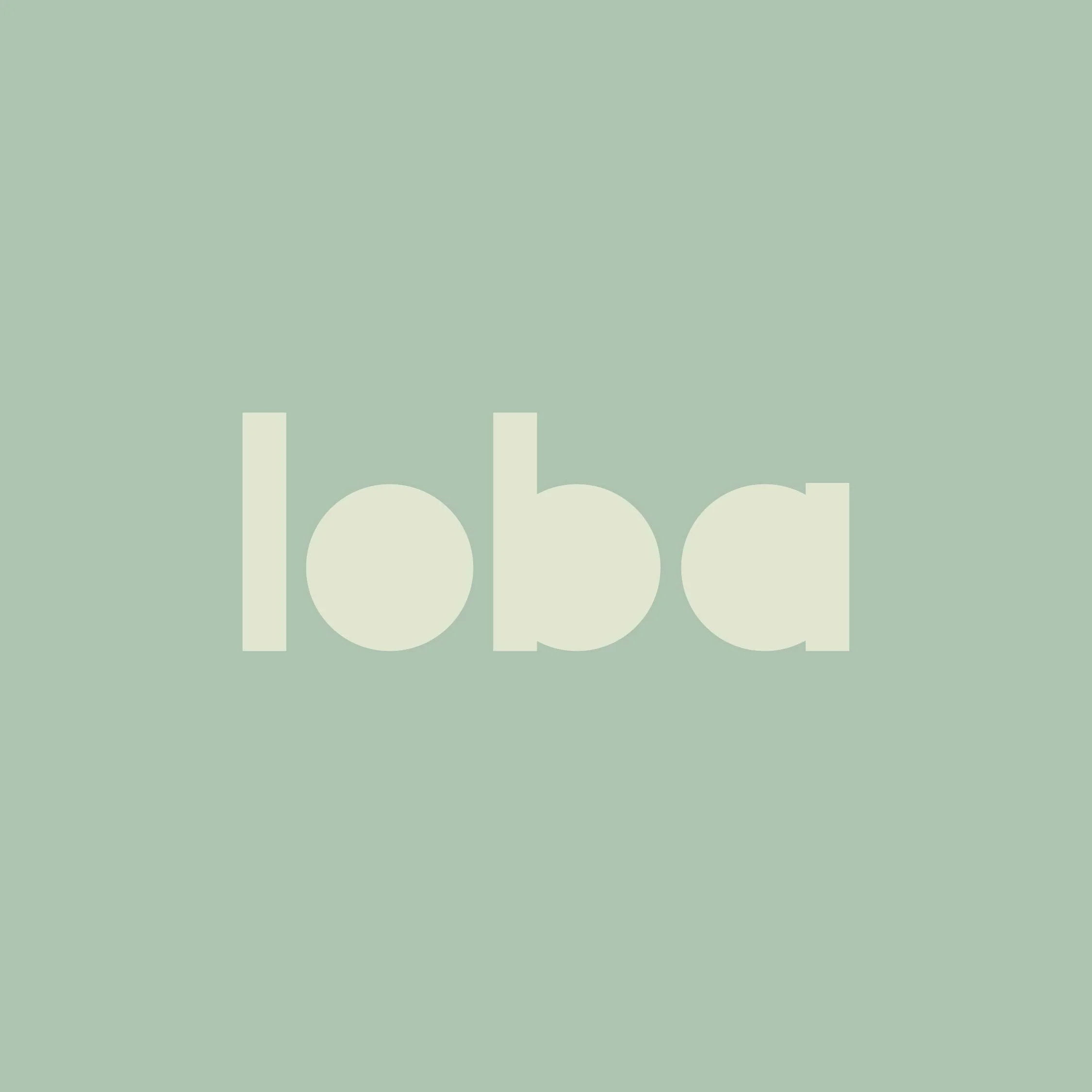 LobaArchitects-07.jpg