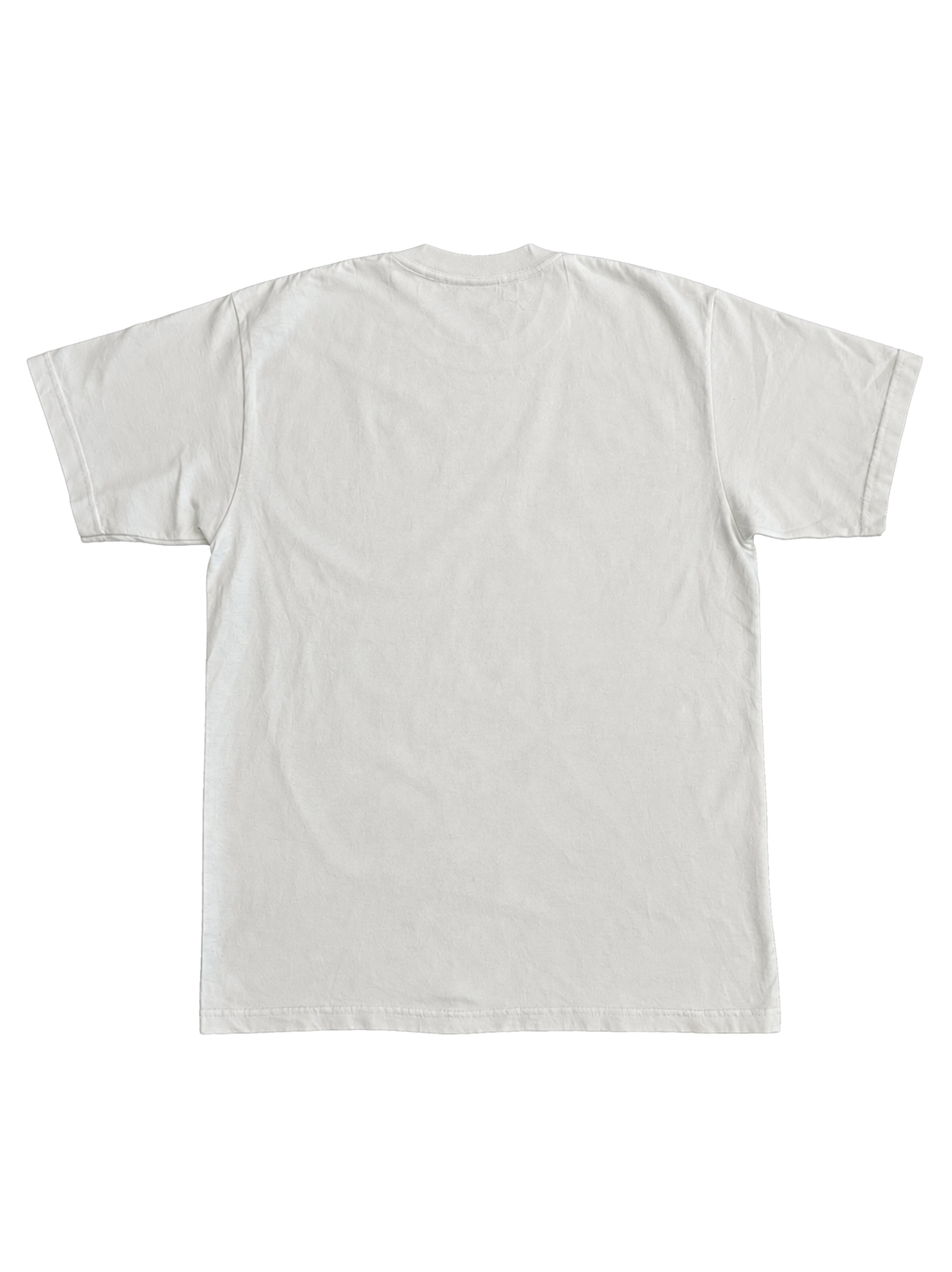 Squarespaces_0000_Group 1 copy.jpg
