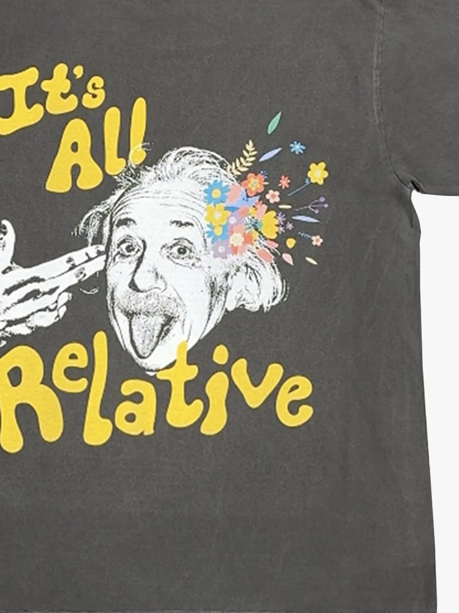 Einstein_0001_Group+1.webp