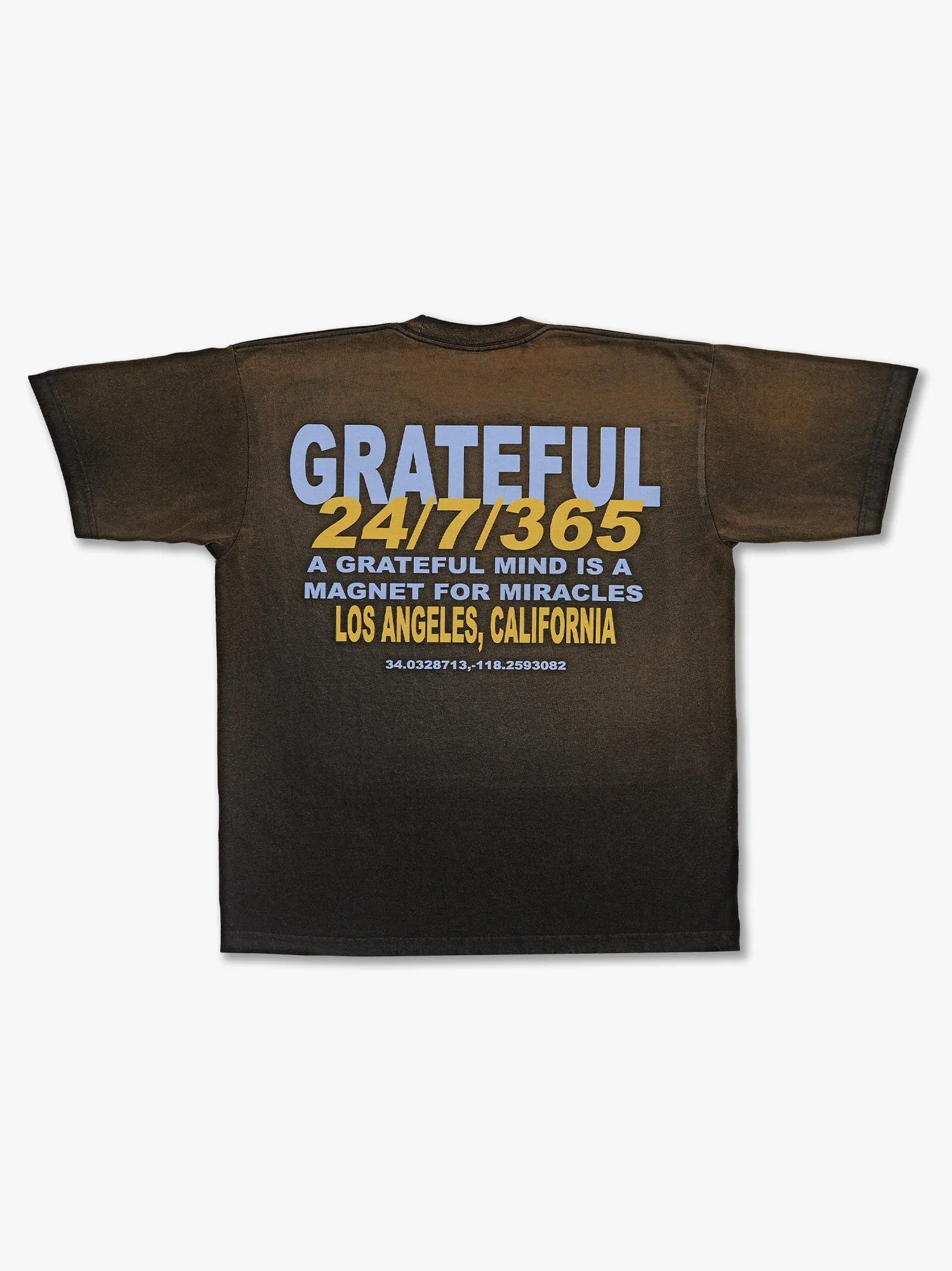 Grateful Vintage Washed Tee