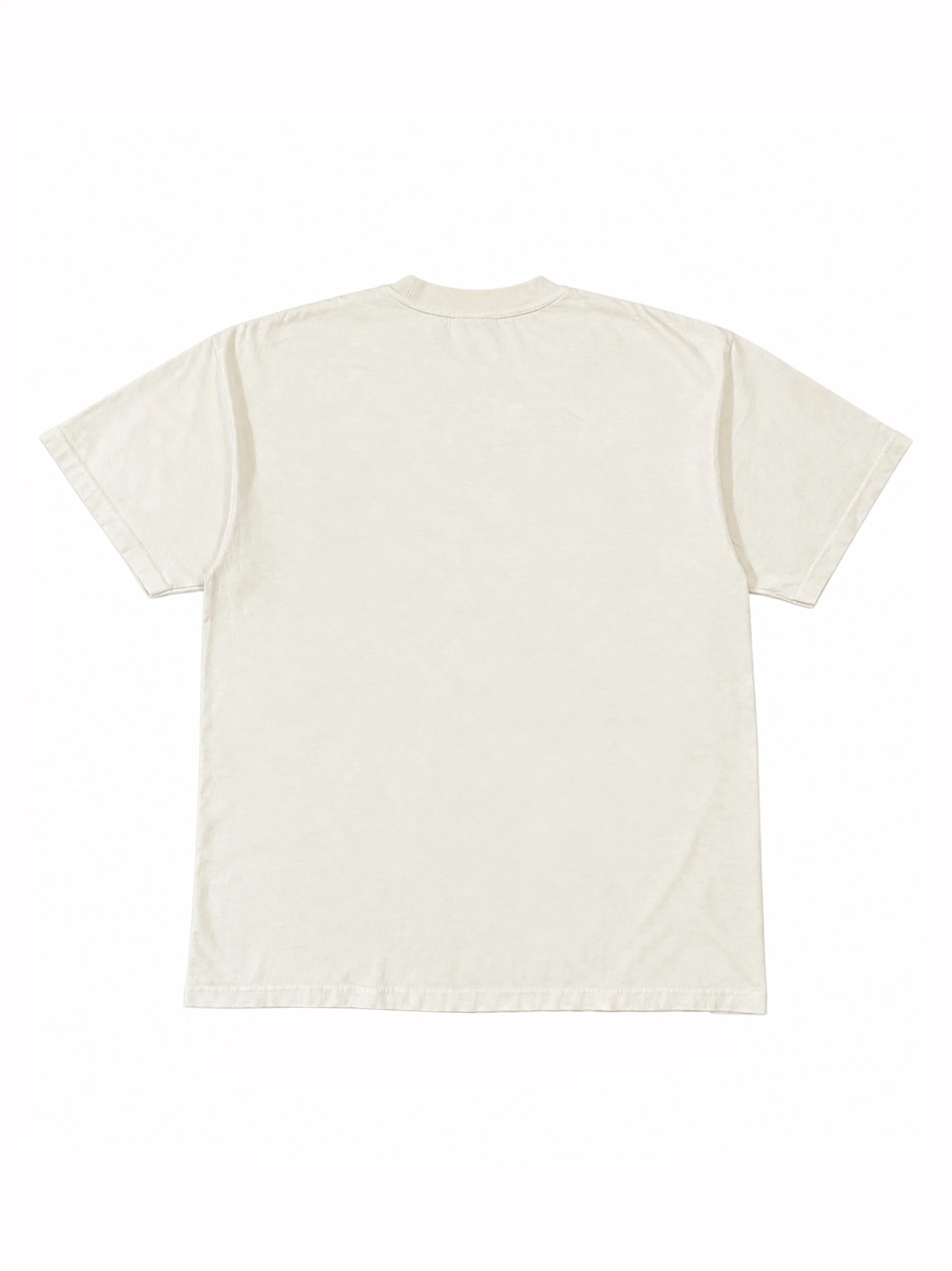 Squarespaces_0000_Layer 2.jpg