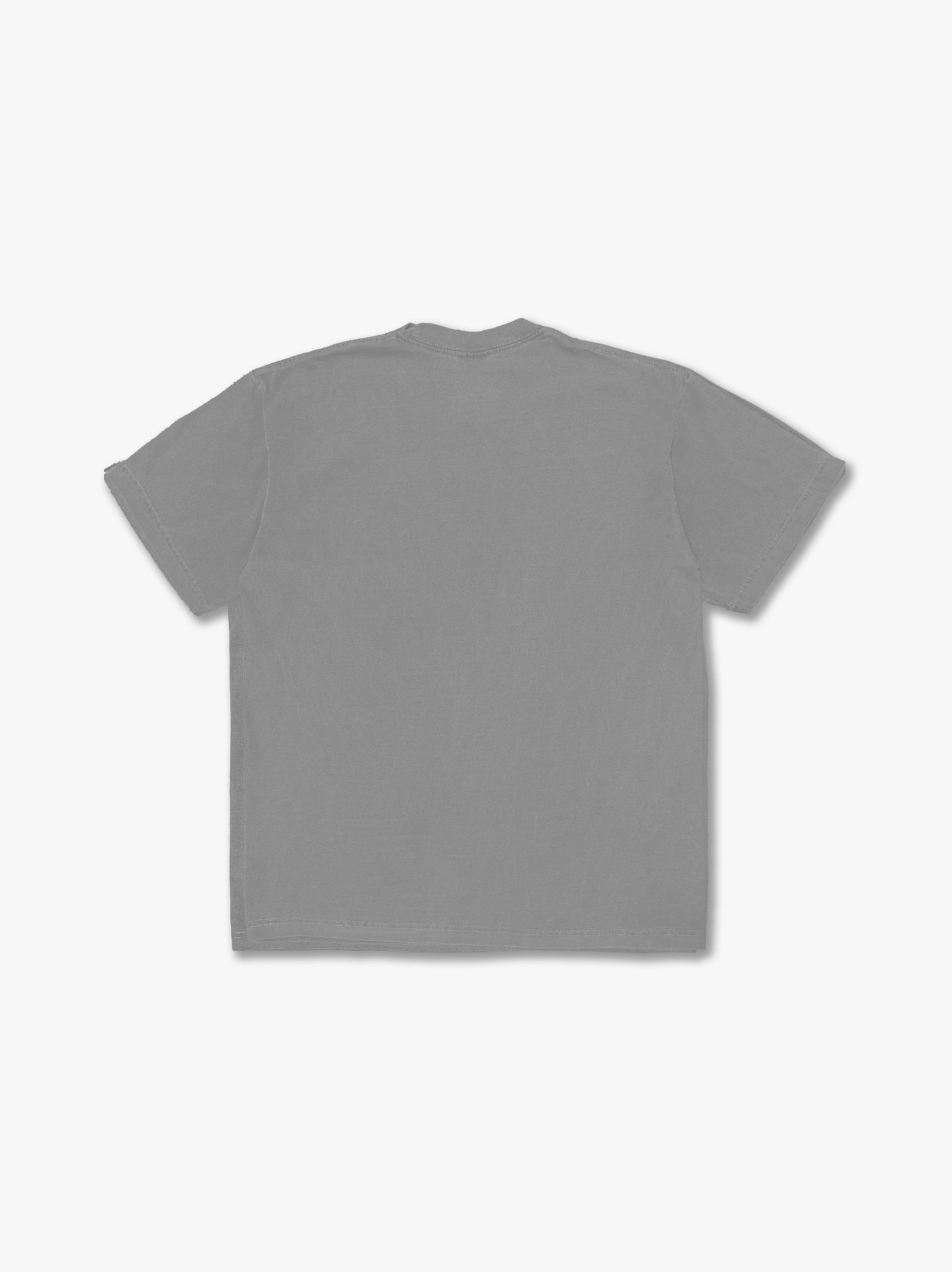 Grey Back.jpg