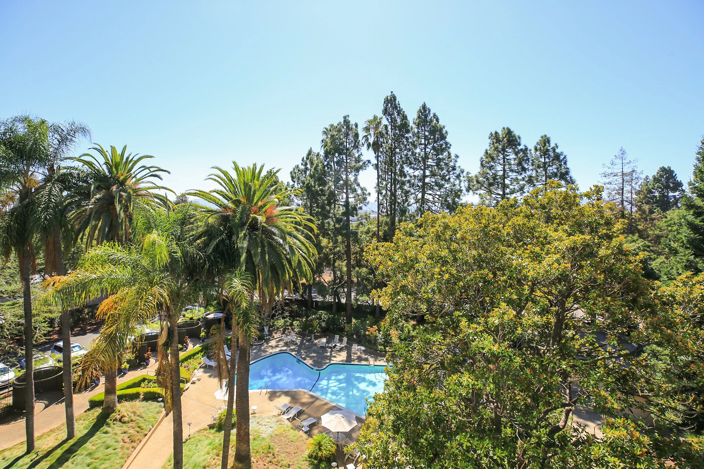 101 Alma Street #503