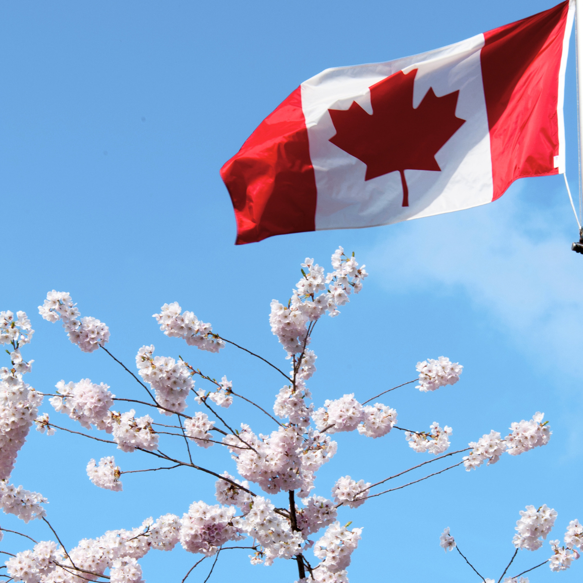 Canada’s Spring Economic Update 2026: Key Tax Measures and What They Mean