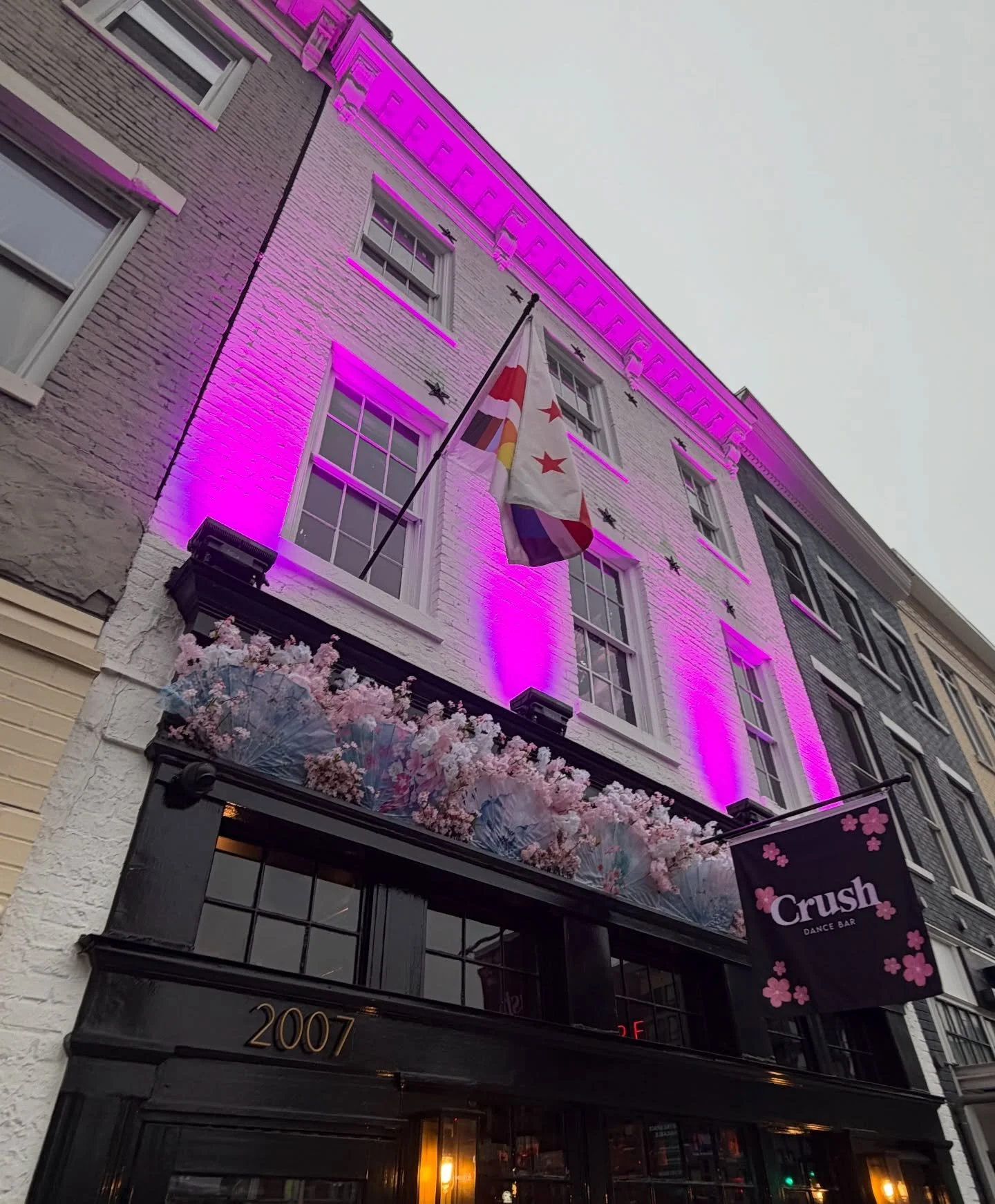 Dreaming spring into existence 🌺