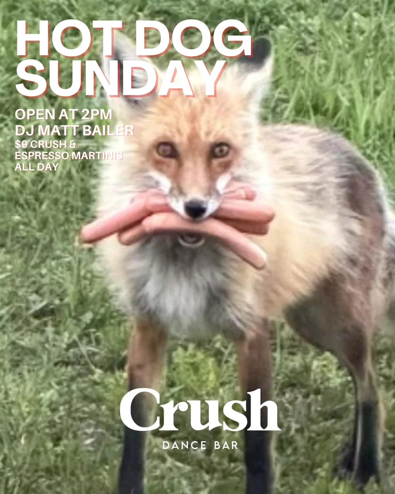 Get caught with hot dogs in your mouth. 🌭🦊

Hot Dog Sunday starts at 2PM. 
DJ Matt Bailer 
$9 Crushes &amp; Espresso Martinis all day. 🍸