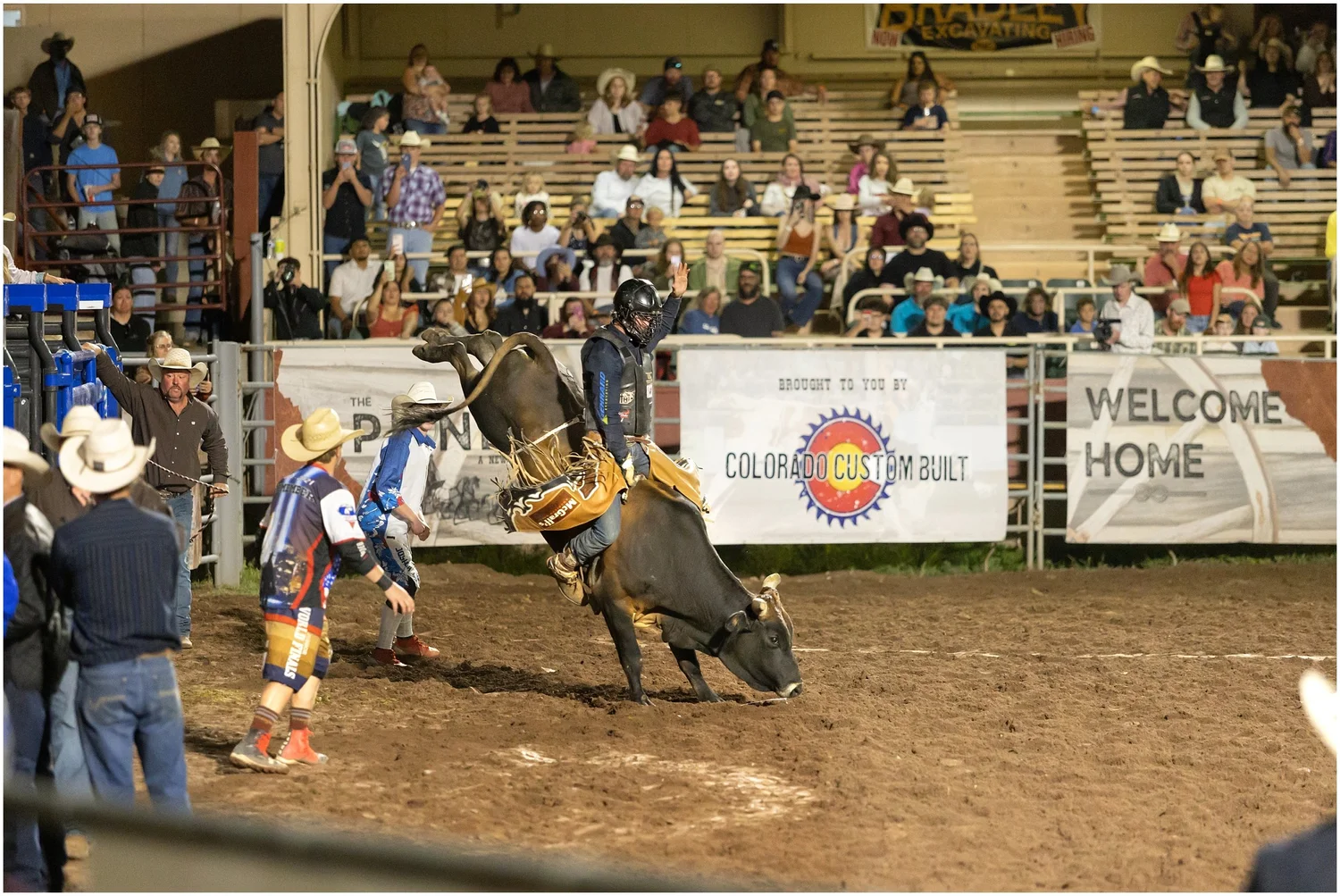Bull rider in action at The Pioneer Rodeo, spectators watching from the Norris Penrose arena