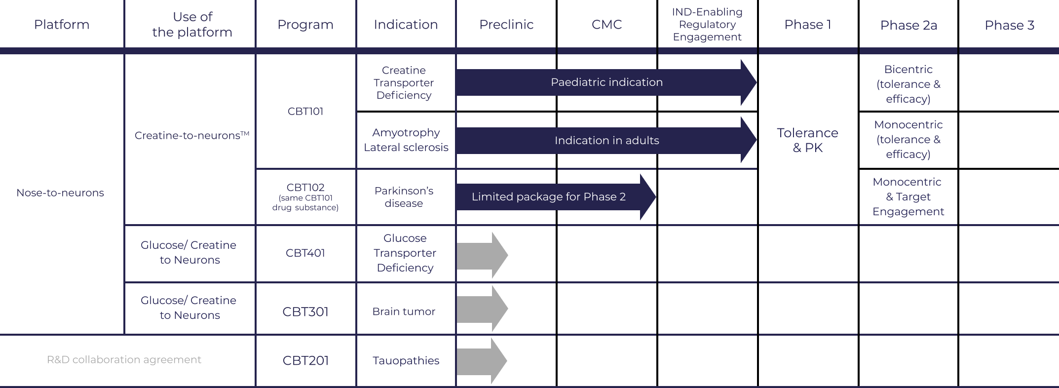PIPELINE & PROGRAMS — CERES BRAIN Therapeutics