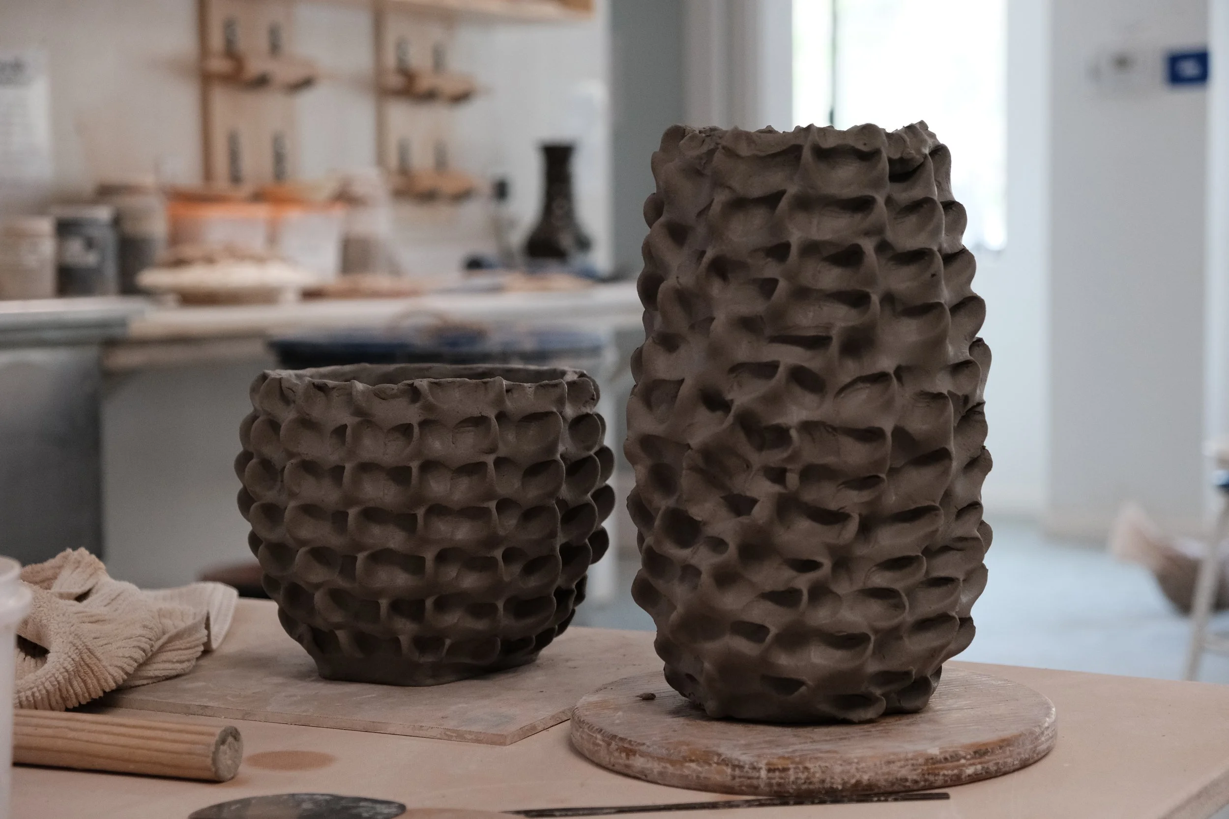 Term 3 Classes Begin