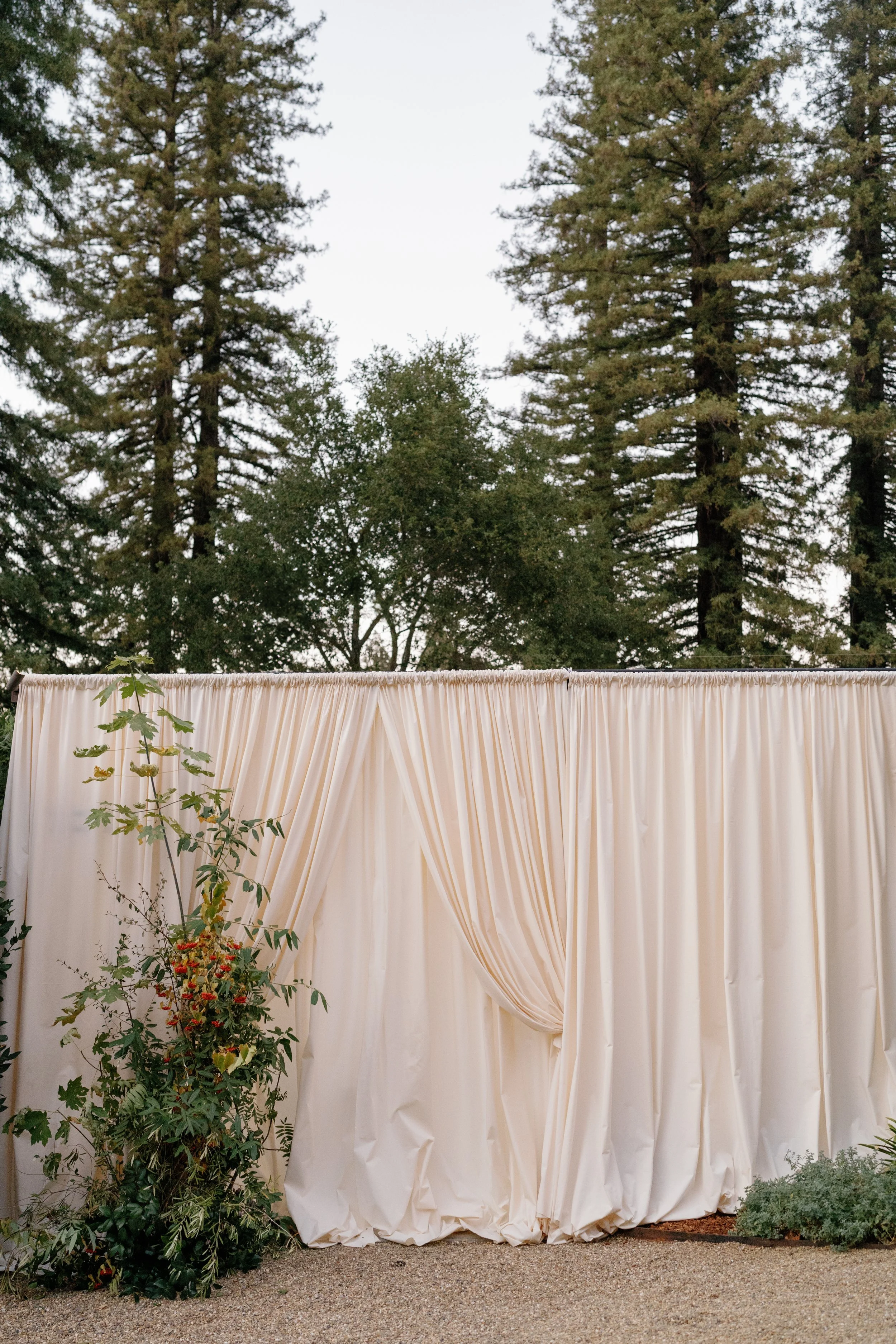 Susannah + Jack (Napa, CA)