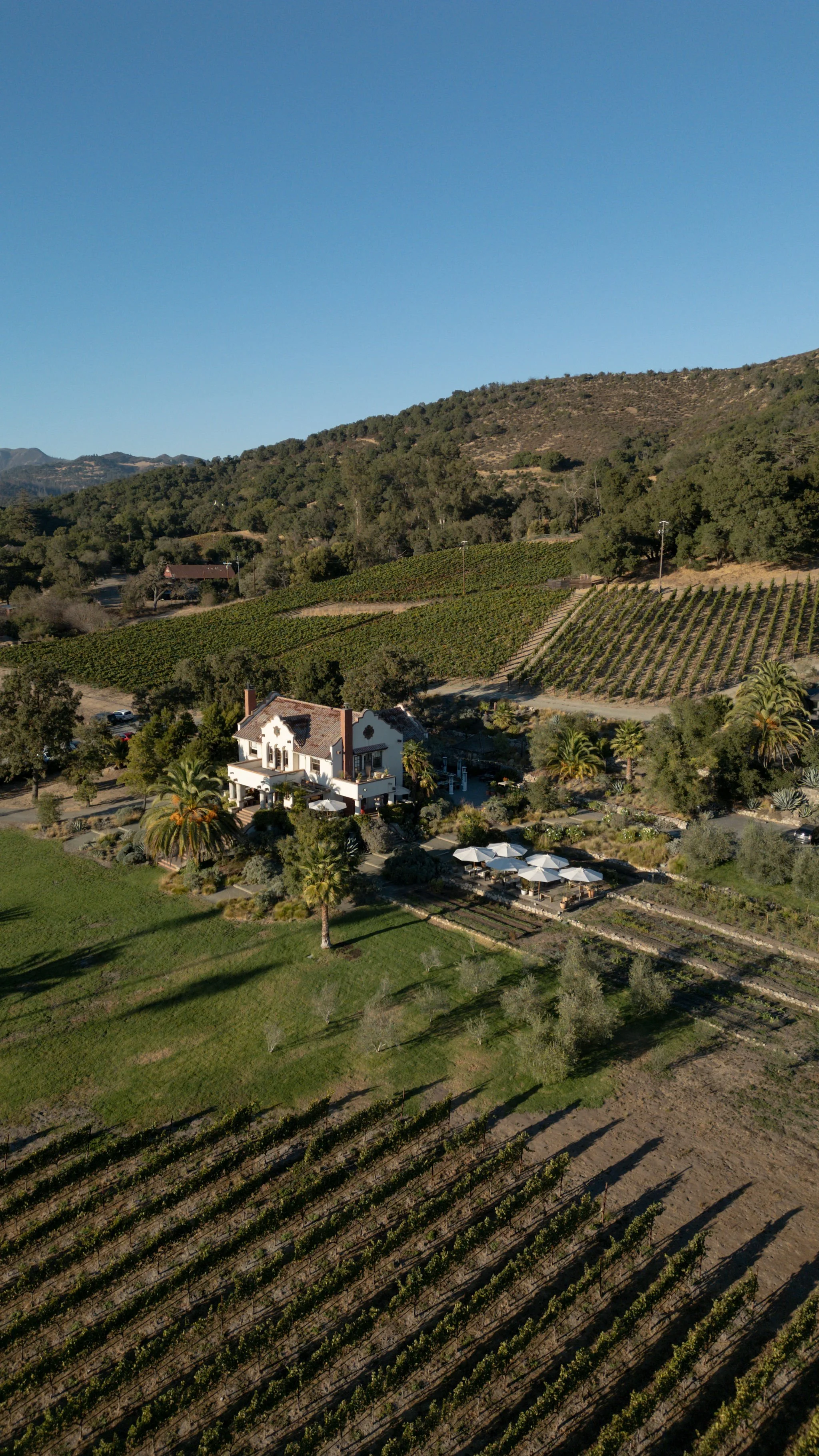 DJI_0556.jpg