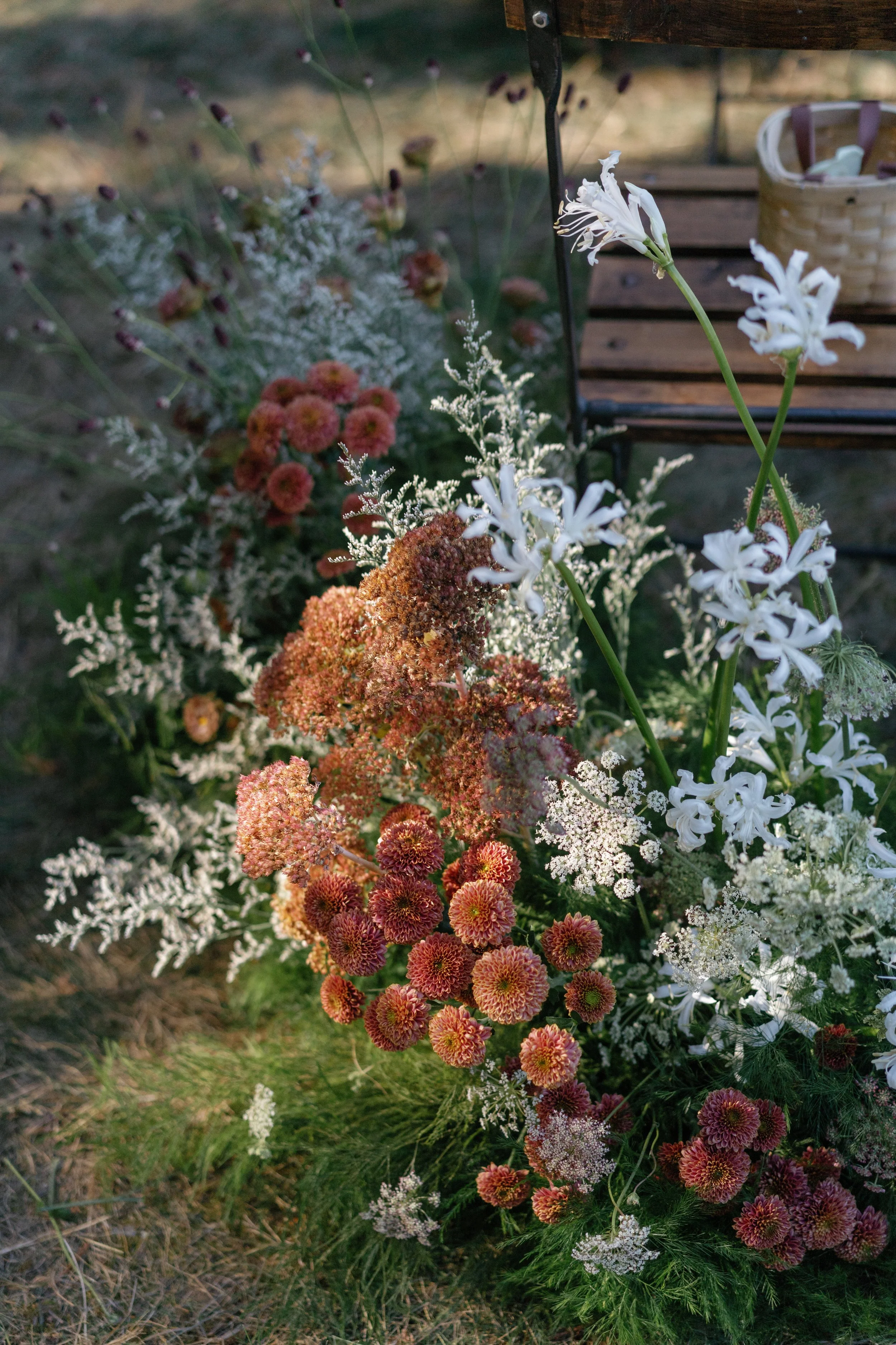 DSC05342.jpg
