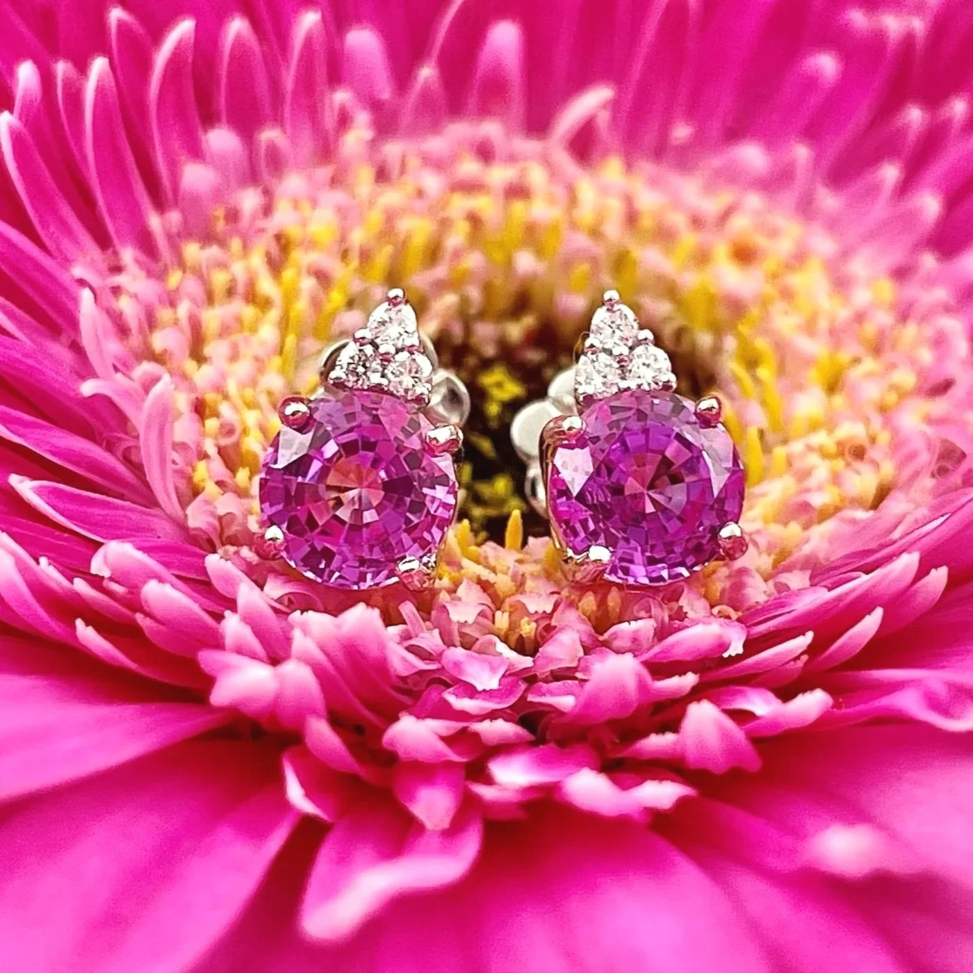 2.30ctw Pink Sapphire With A+ Diamond Accents Stud Earrings 14k White Gold
