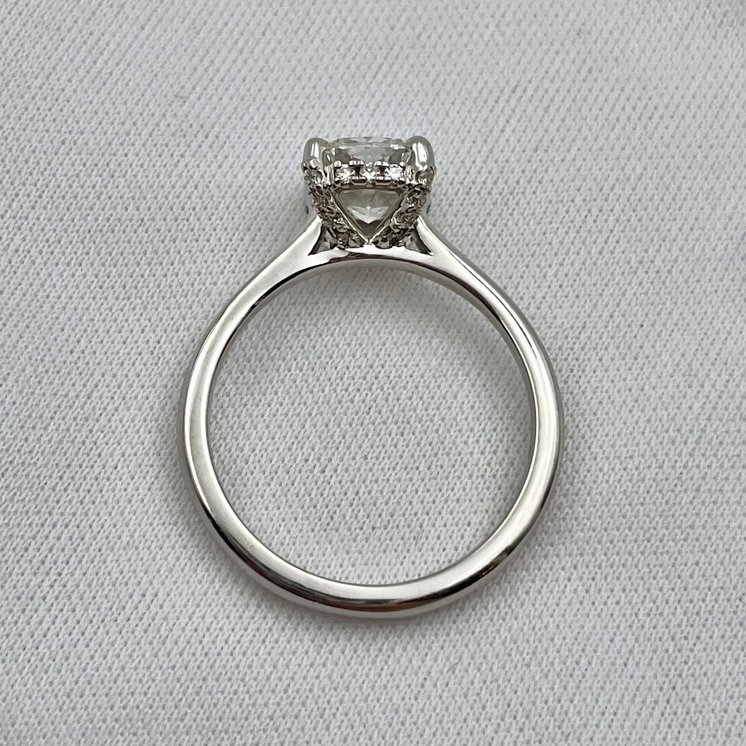 XA-DVJS291643.jpg
